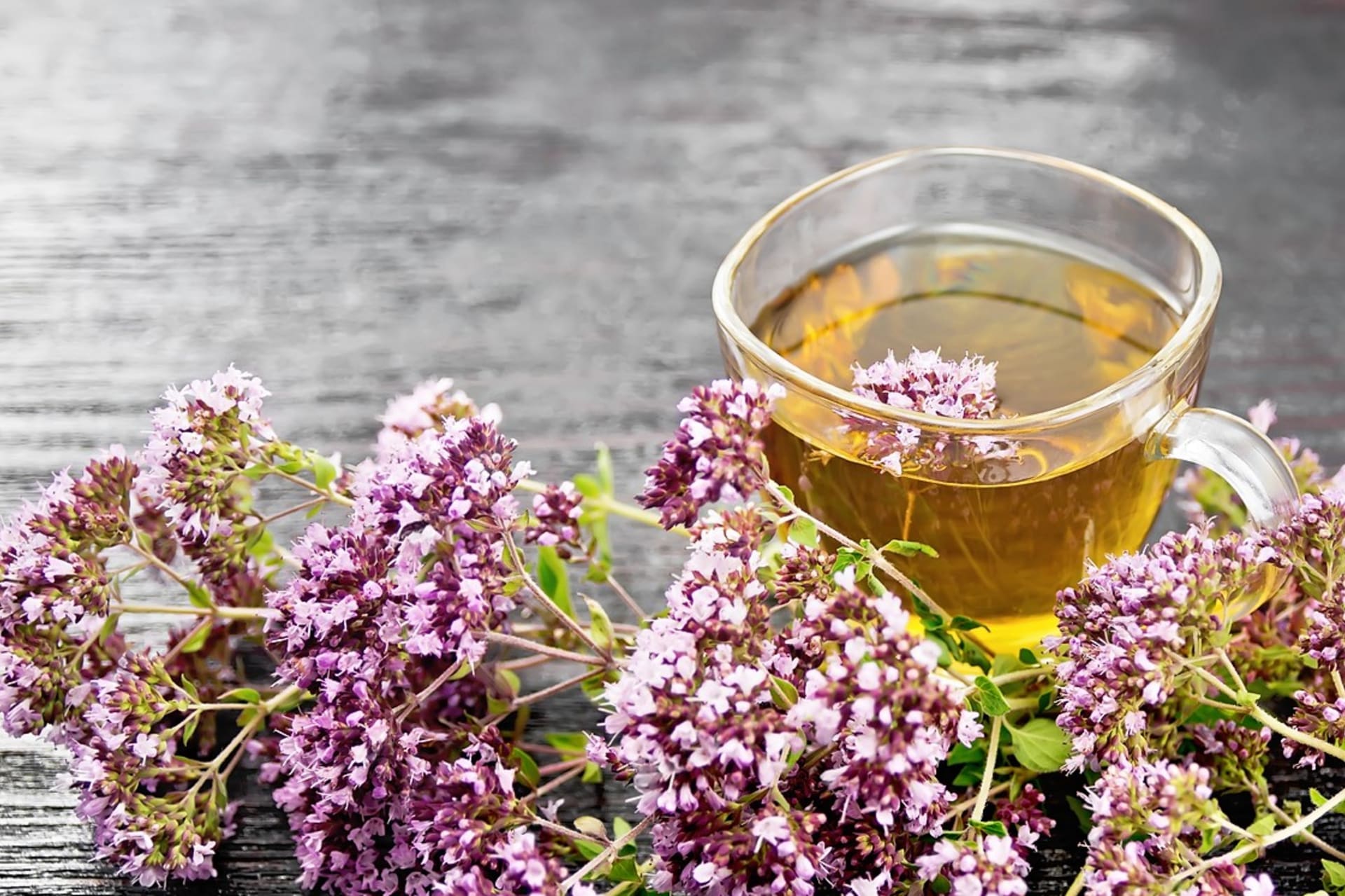 10 léčivých rostlin, které pomáhají v boji proti podzimní depresi, únavě a stresu 13