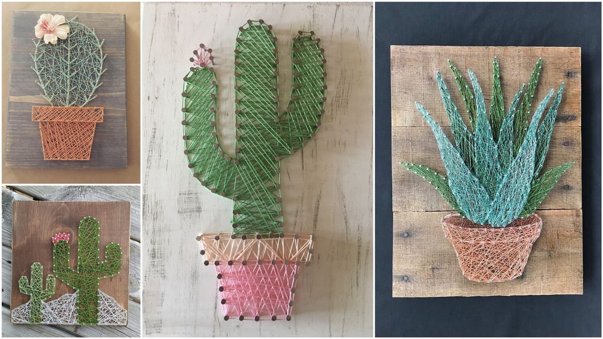 Nechte se inspirovat oblíbenými kaktusy  3