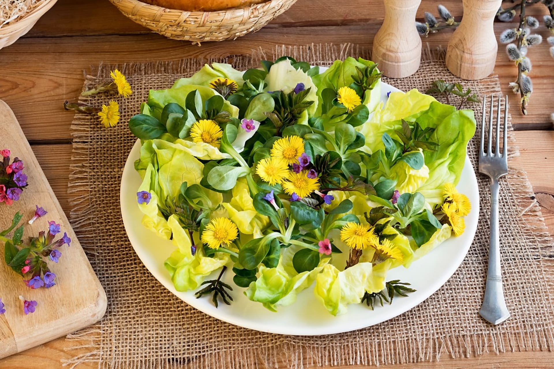 Mladé a křehké lístky plicníku jsou báječnou ingrediencí a ozvláštněním prvních jarních salátů, nasekaná nať se hodí na uvařené brambory, do polévek i pomazánek.