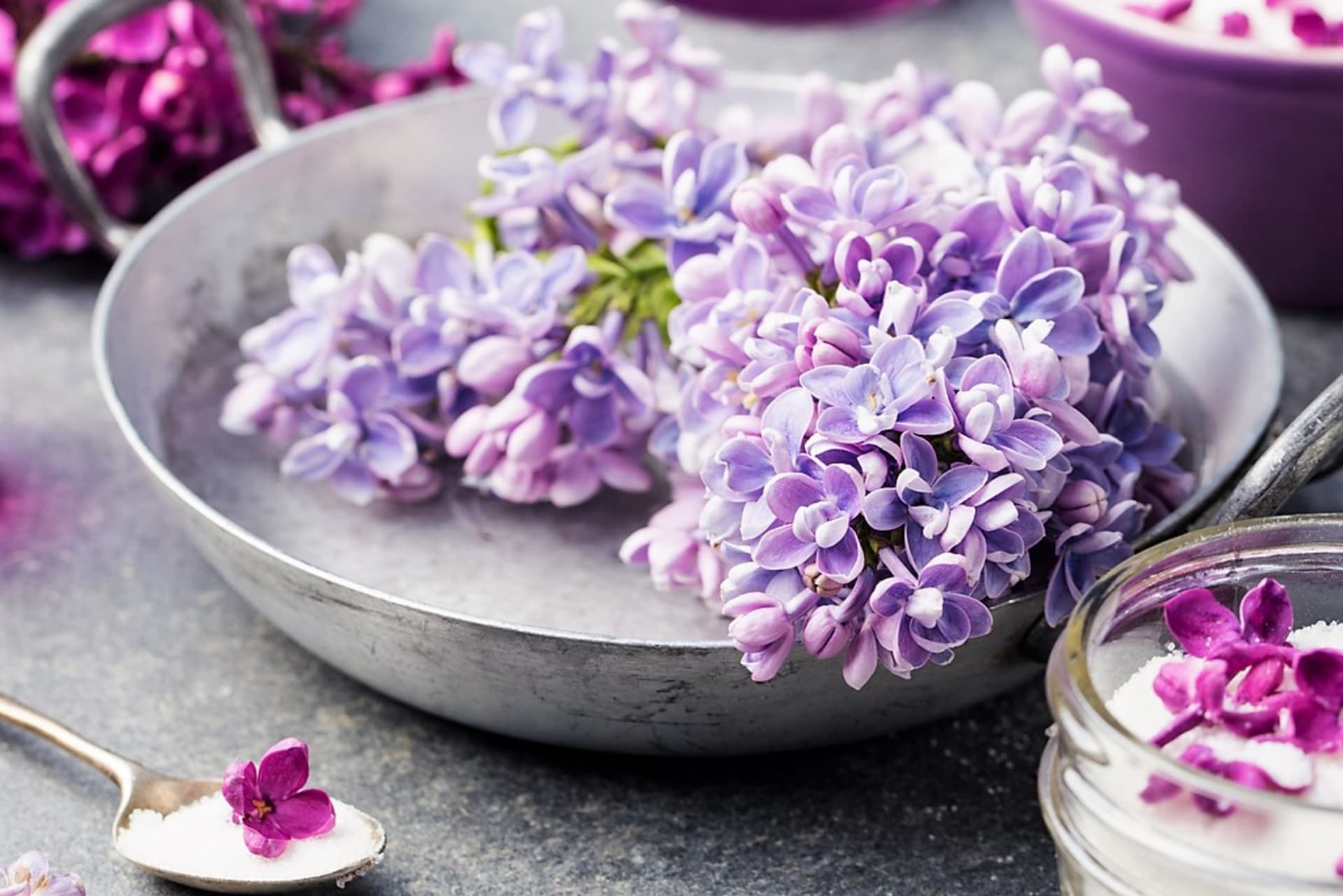Květy šeříku patří jako například lichořeřišnice či fialka mezi jedlé květy, které ozdobí nejrůznější pokrmy, především dezerty, zmrzlinu a saláty. 