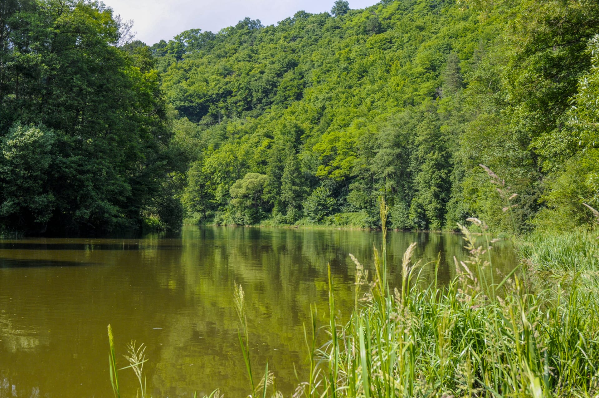 Zelená příroda kolem řeky je úchvatná.
