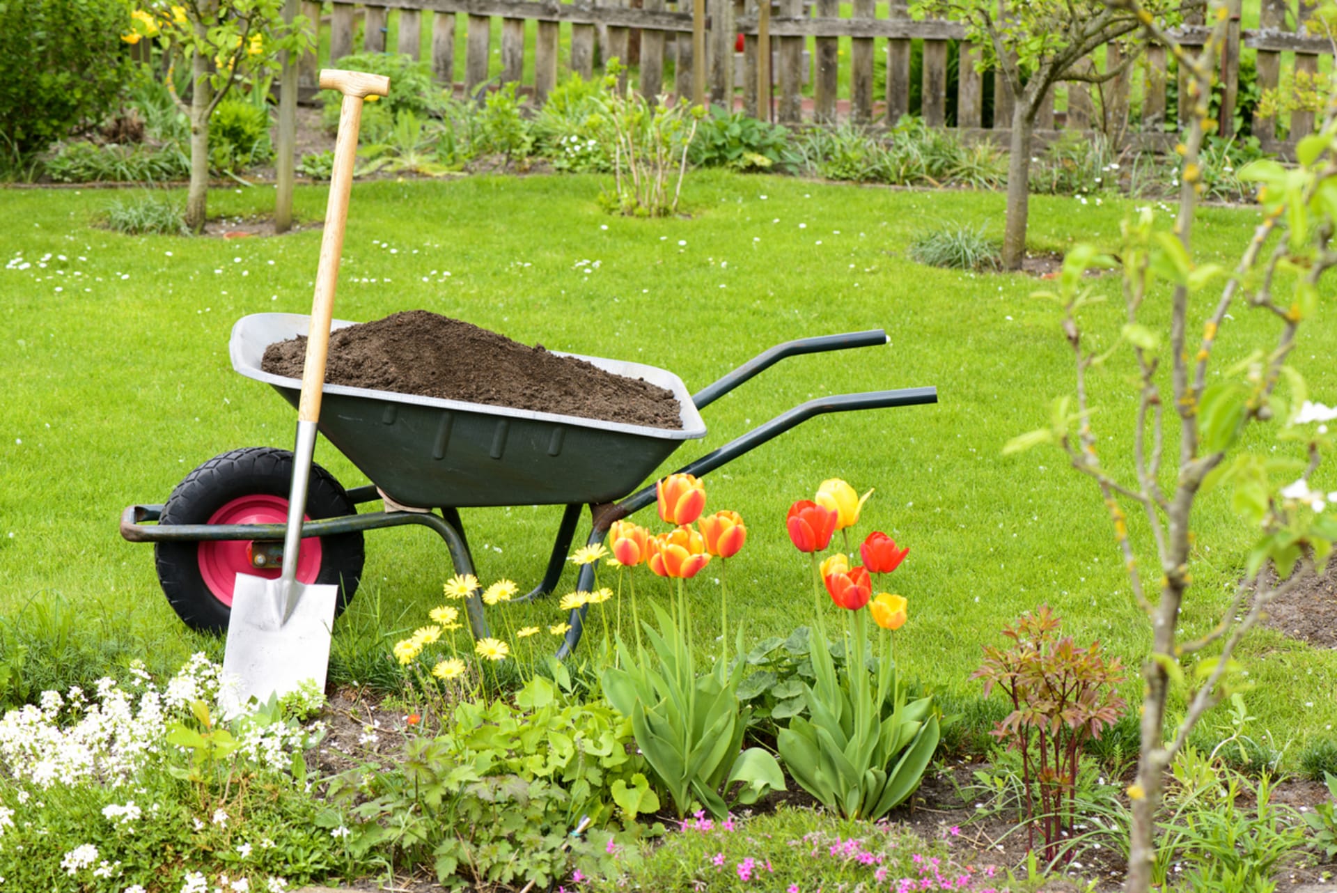 Zahradnické nářadí: Nekupujte zbytečnosti! Poradíme vám, co při práci na zahradě skutečně využijete. 3