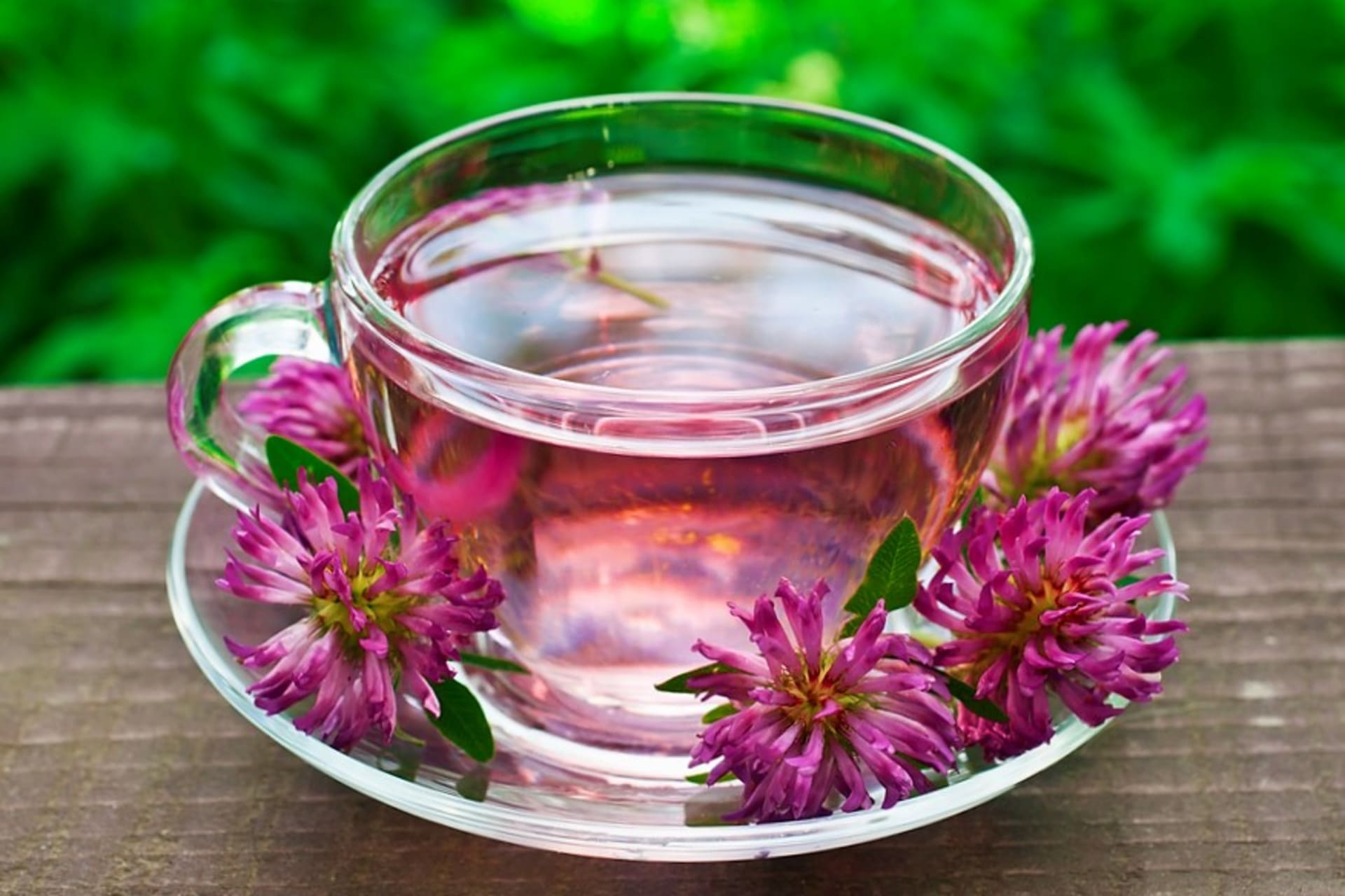 Čaj z květů jetele je léčivý, ale i lahodný. Můžeme ho užívat dlouhodobě. Tento čaj popíjíme třikrát denně .