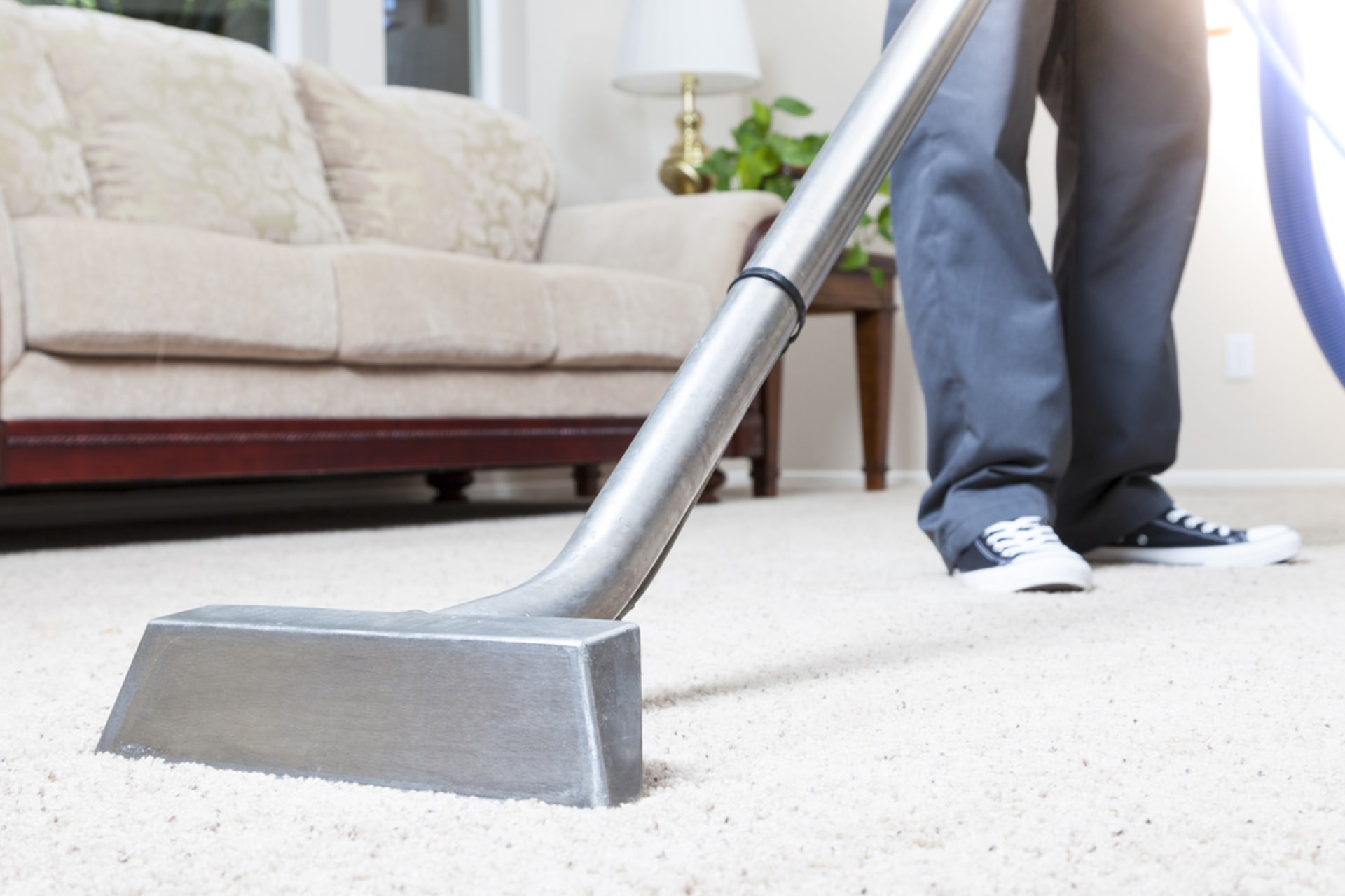 Jak koberec správně čistit?
