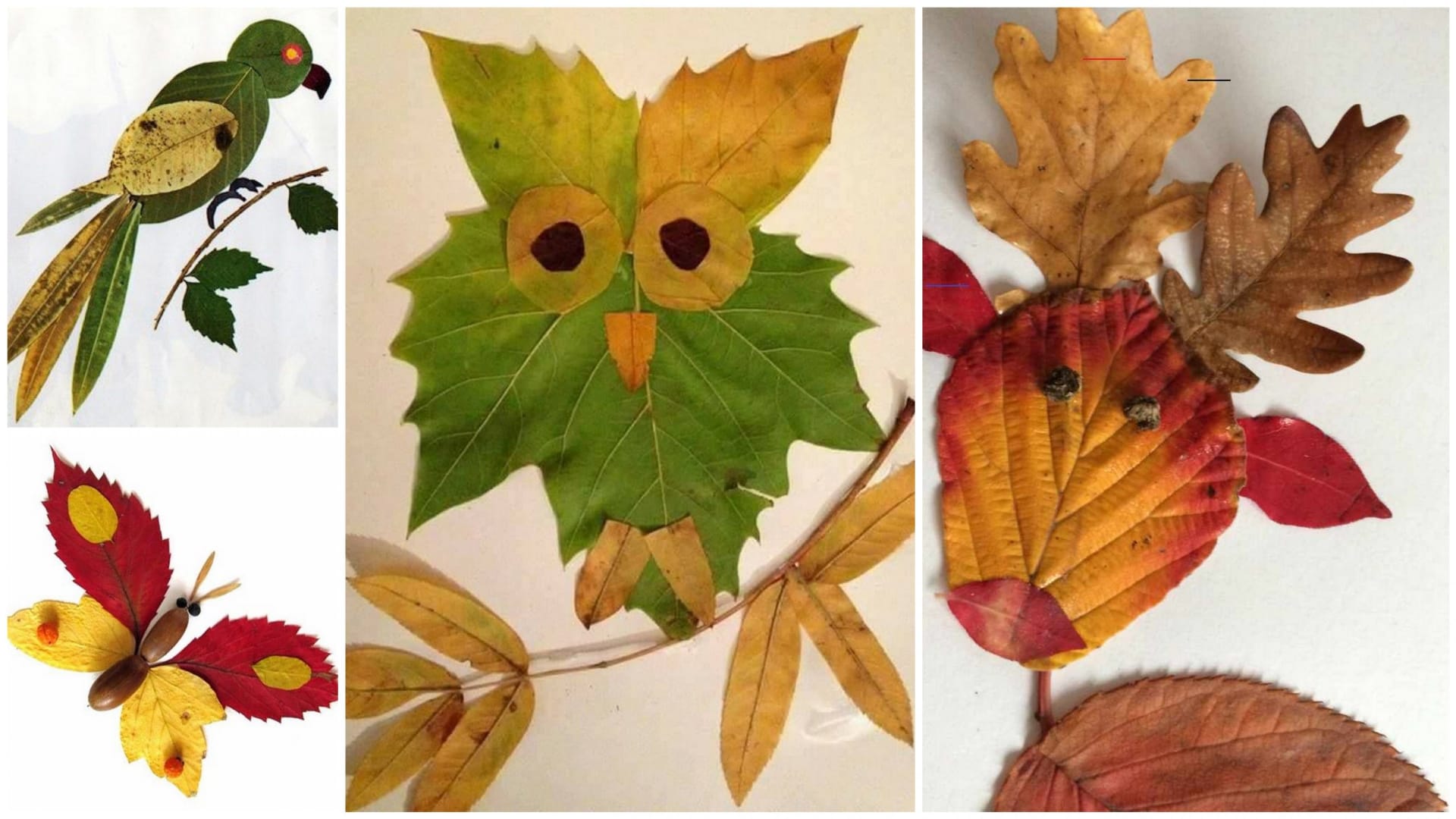 Ukažte dětem, jak vytvořit veselé koláže, svícny i věnce z barevných listů 3