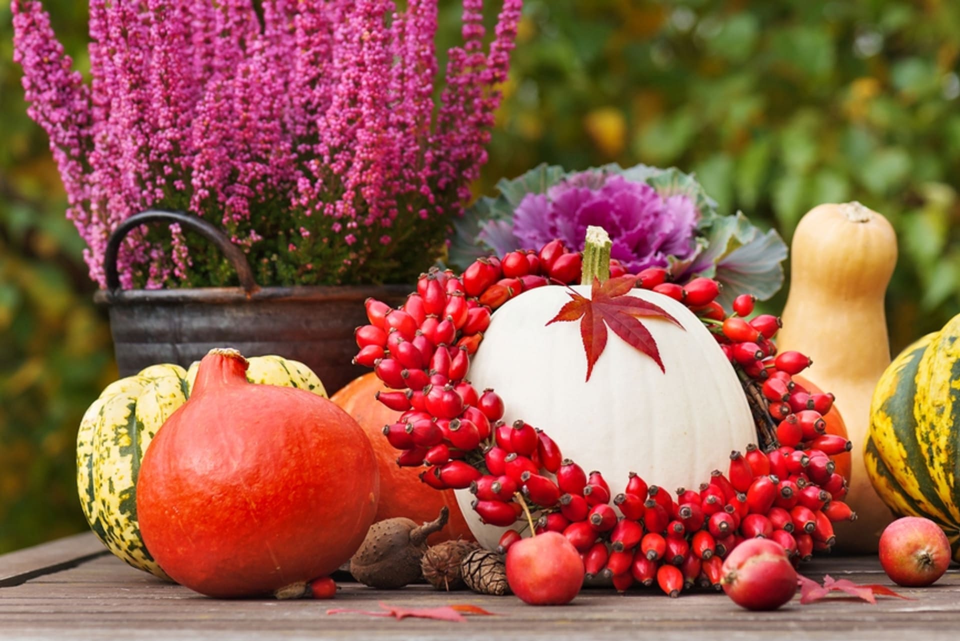Nejkrásnější podzimní dekorace vytvořte z šípků  1