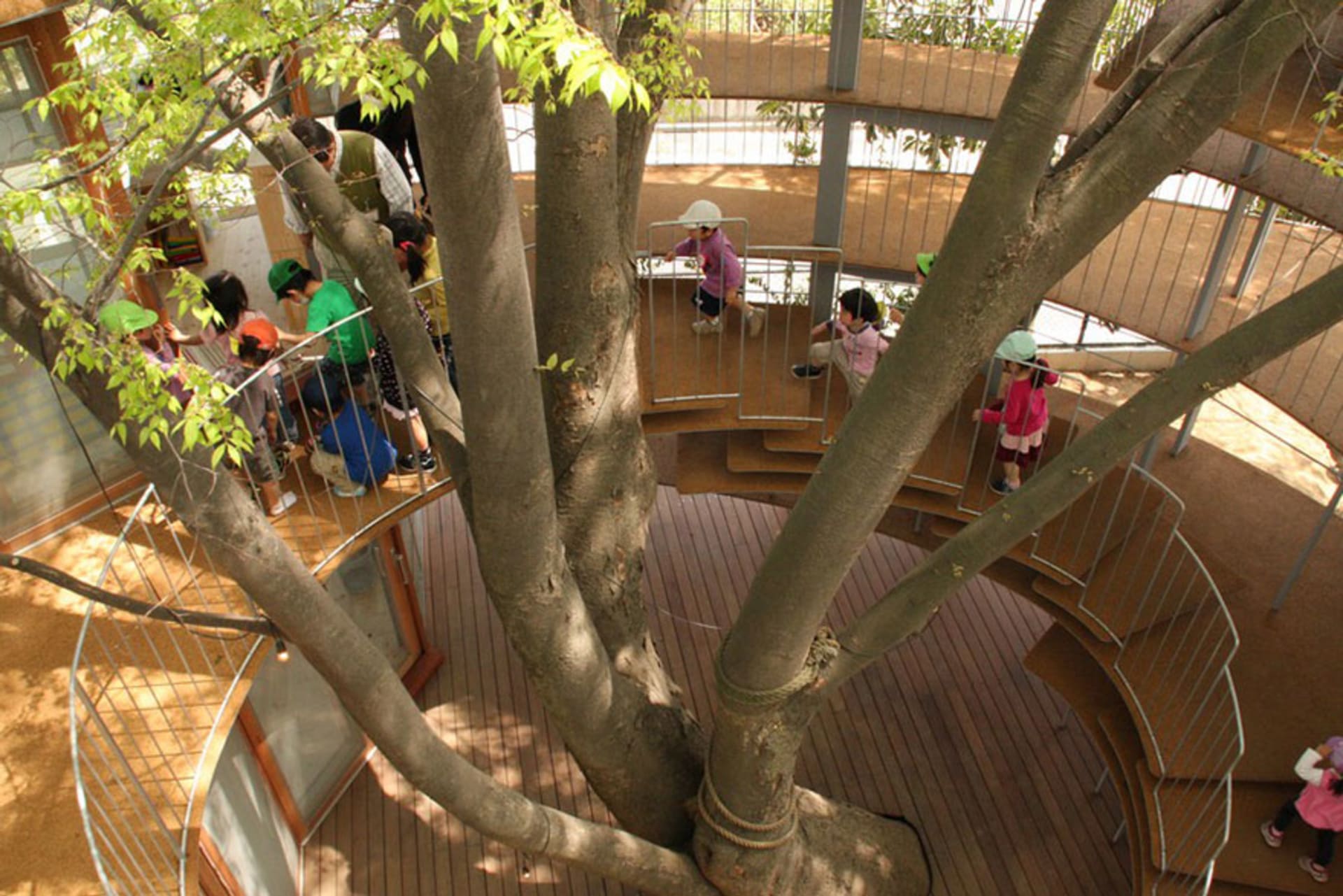 Školka kolem stromu - Obrázek 4