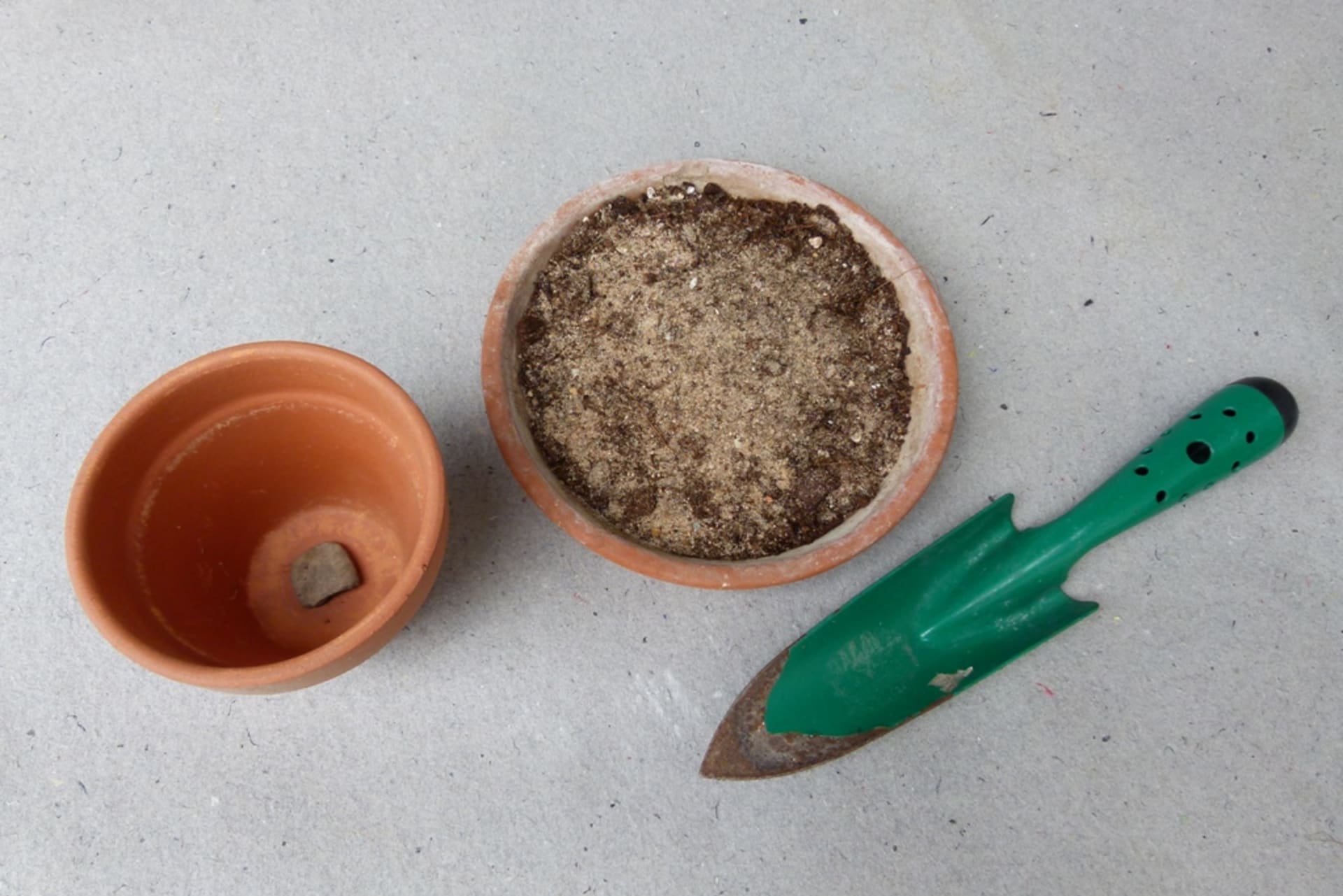 Jak namnožit karafiáty z darované kytice: Zahradní substrát smíchejte s pískem v poměru 1 : 2. 