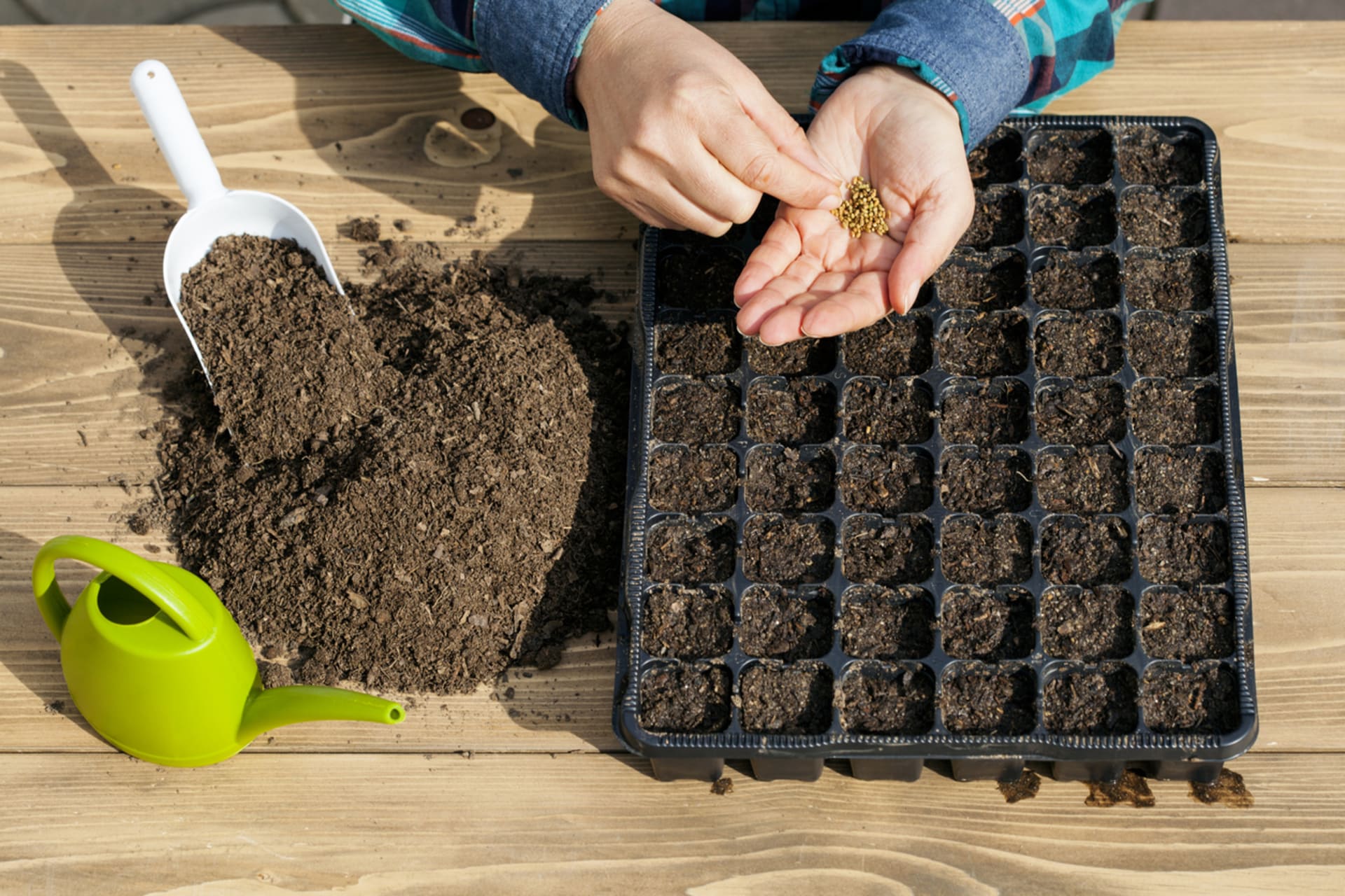 Duben na zahradě: Vysévejte letničky i zeleninu a vysaďte pozdní brambory 7