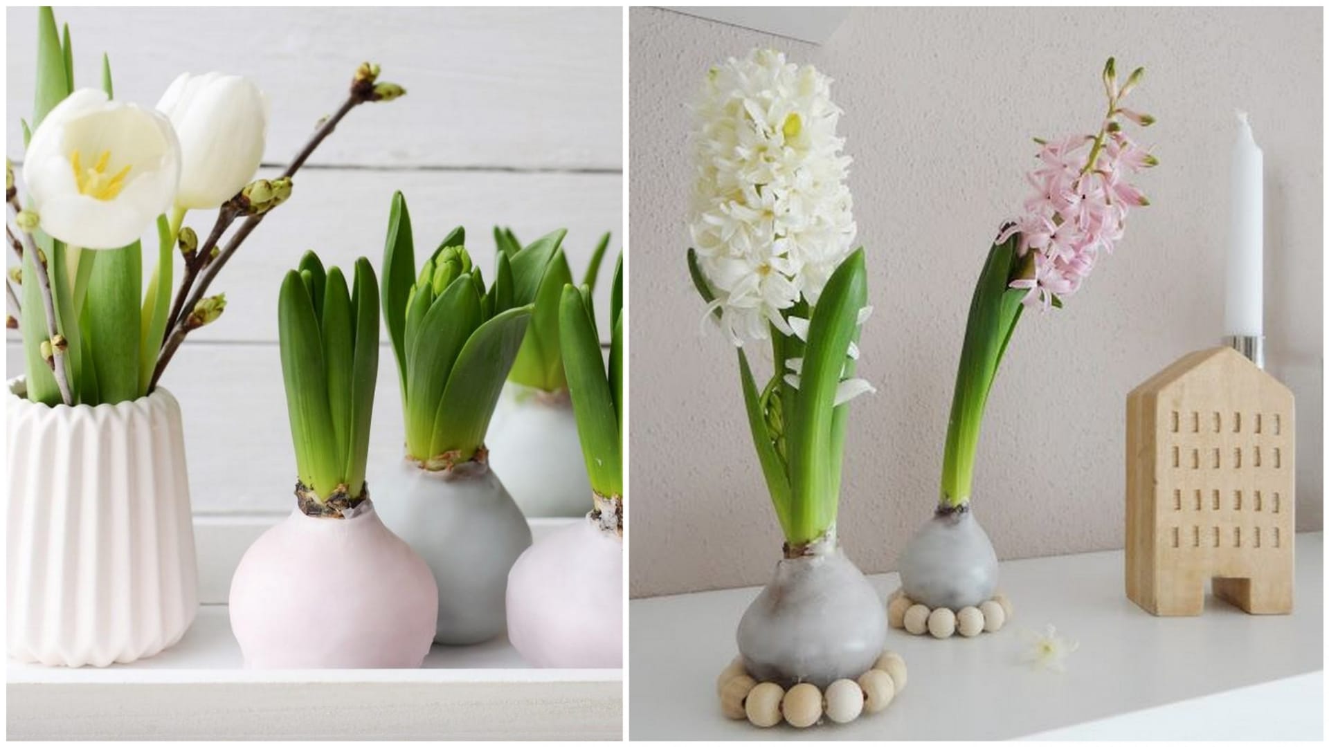 5 způsobů, jak vytvořit hyacintové jarní dekorace 2