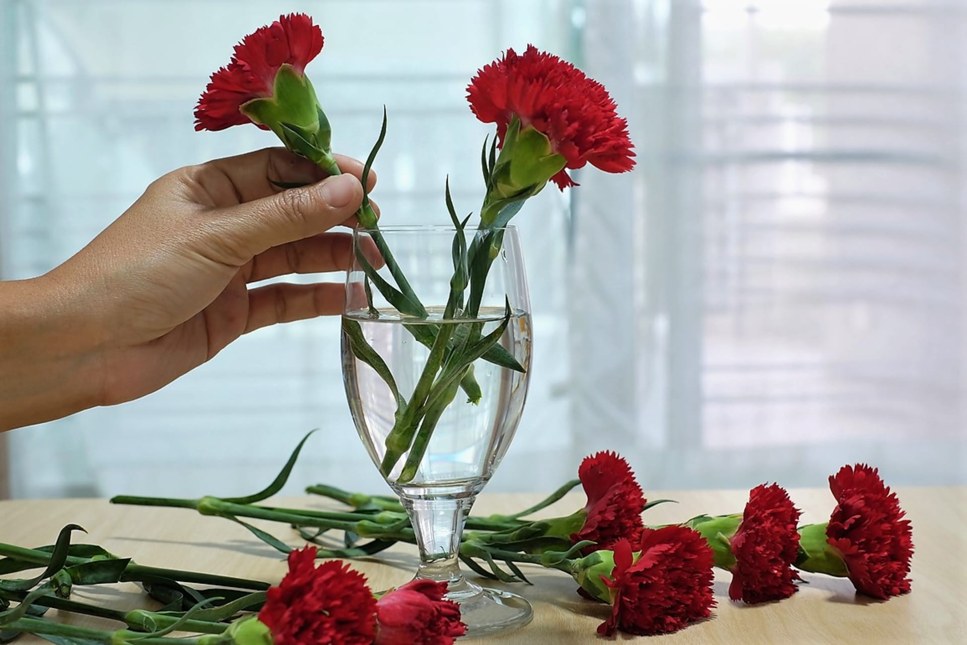 Než květiny umístíte do vázy, zbavte stonky přebytečných listů. Pak je seřízněte šikmo ostrým nožem pod úhlem zhruba 45 stupňů. Účelem tohoto řezu je zvětšit plochu, kterou do sebe květina může dostávat vodu a živiny.