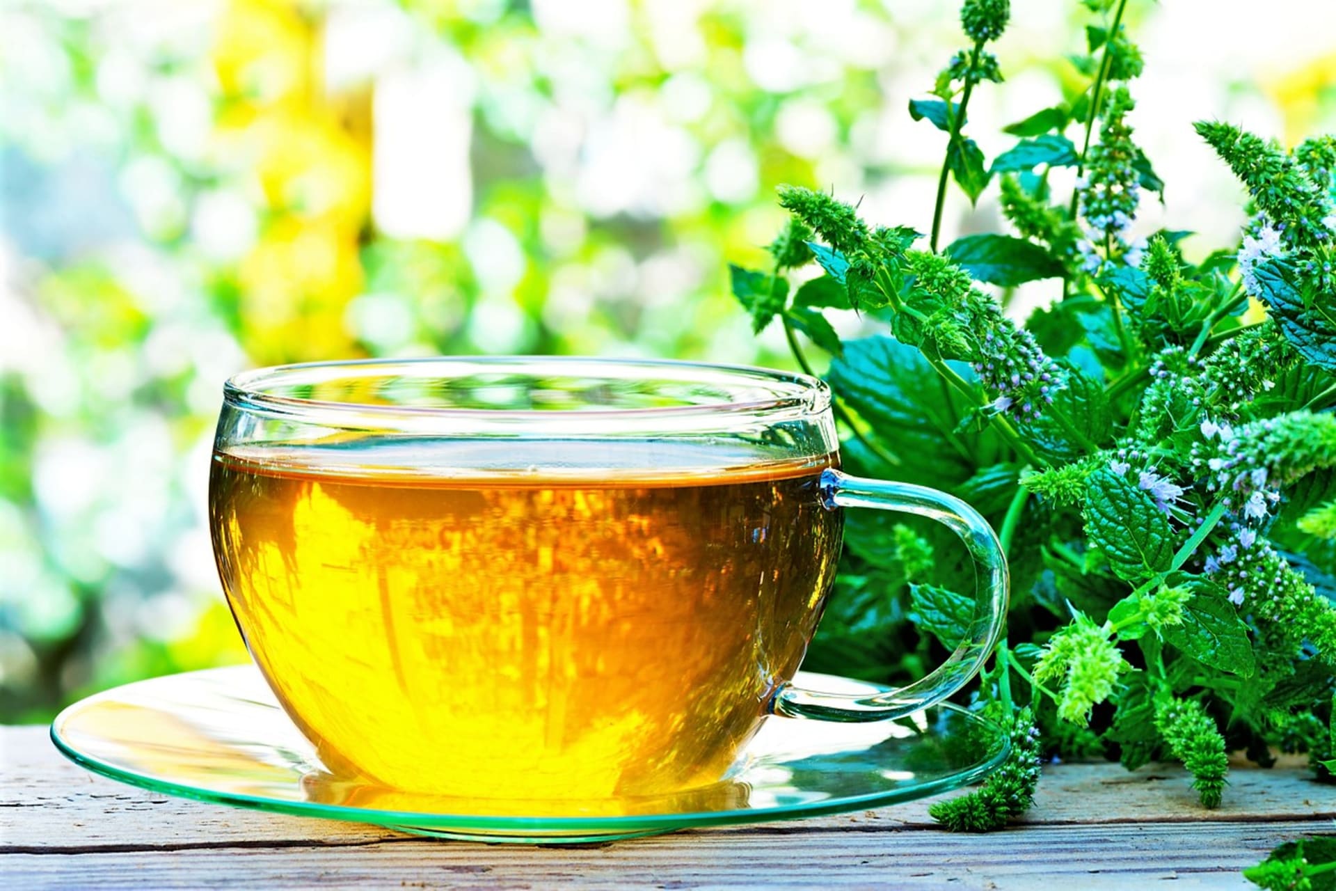 Mátový čaj můžeme pít teplý, vlažný nebo studený. Jako zdravotní bylinkový čaj je nejlepší ho pít jen tak, nijak ho neochucovat.