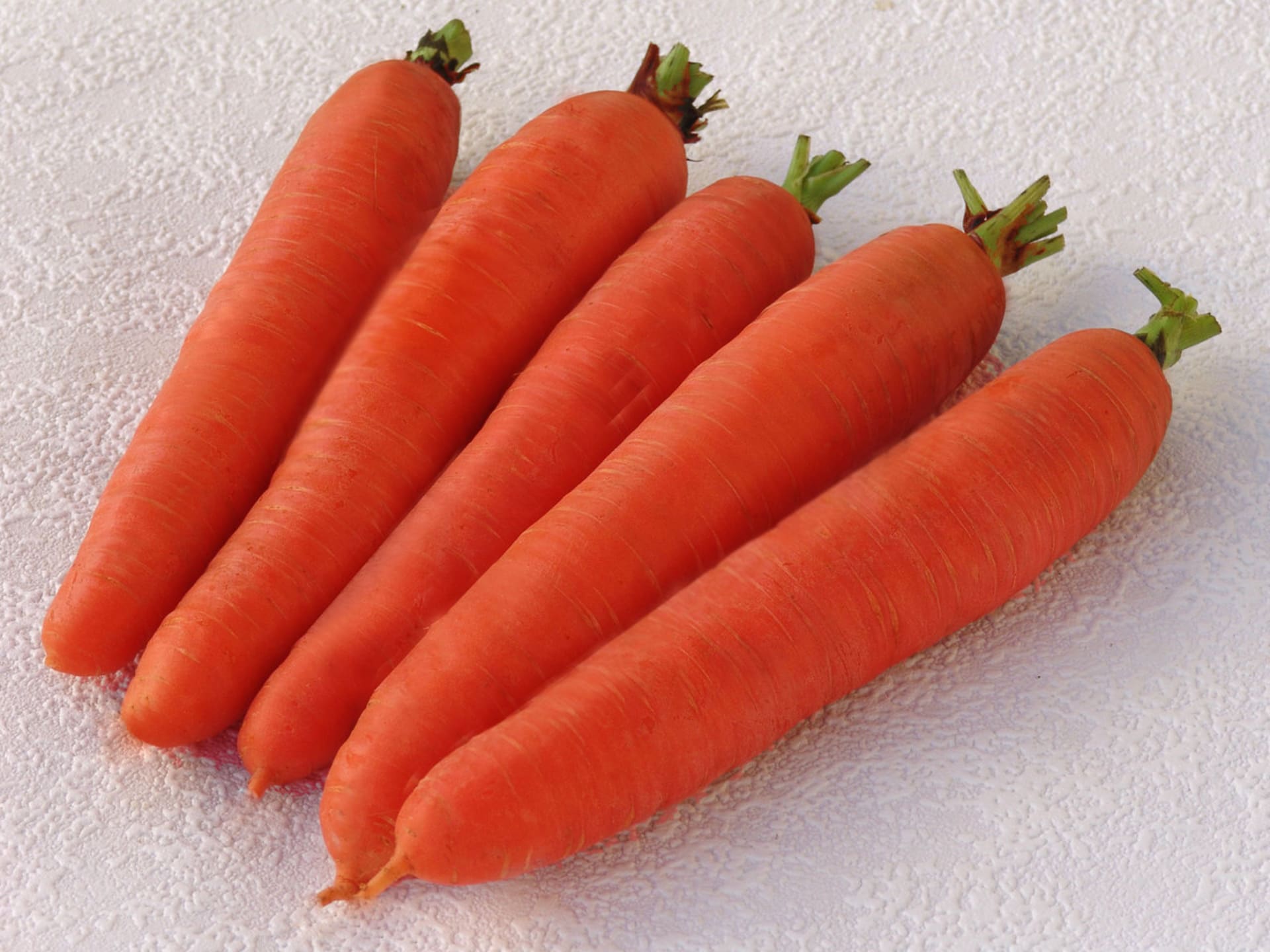 Kořenová zelenina - Obrázek 5 - Odrůda mrkve Cidera
