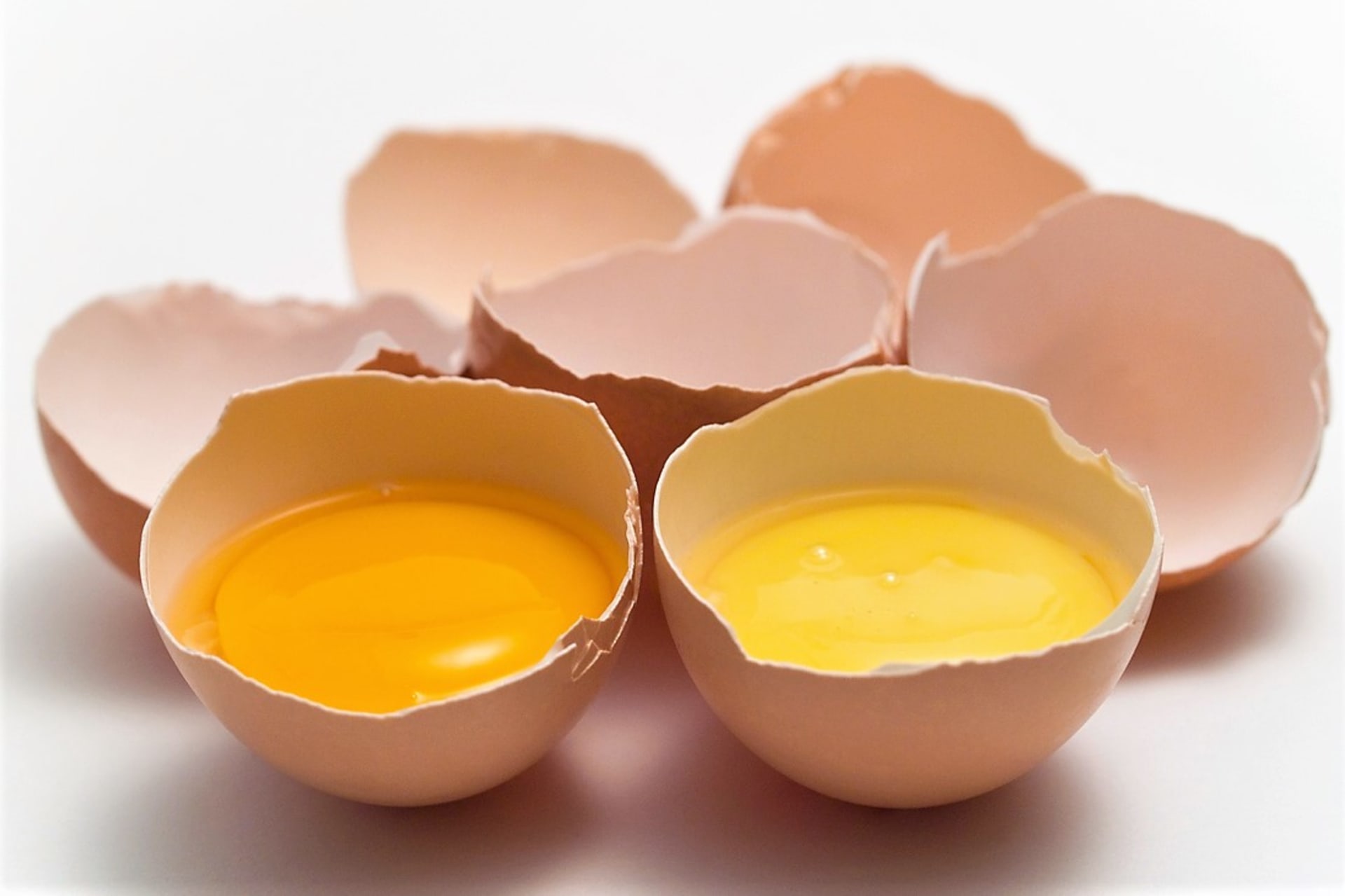 Lákavě oranžové žloutky však dneska mají i vejce zakoupená v obchodech. A to díky krmné směsi obsahující kukuřici.