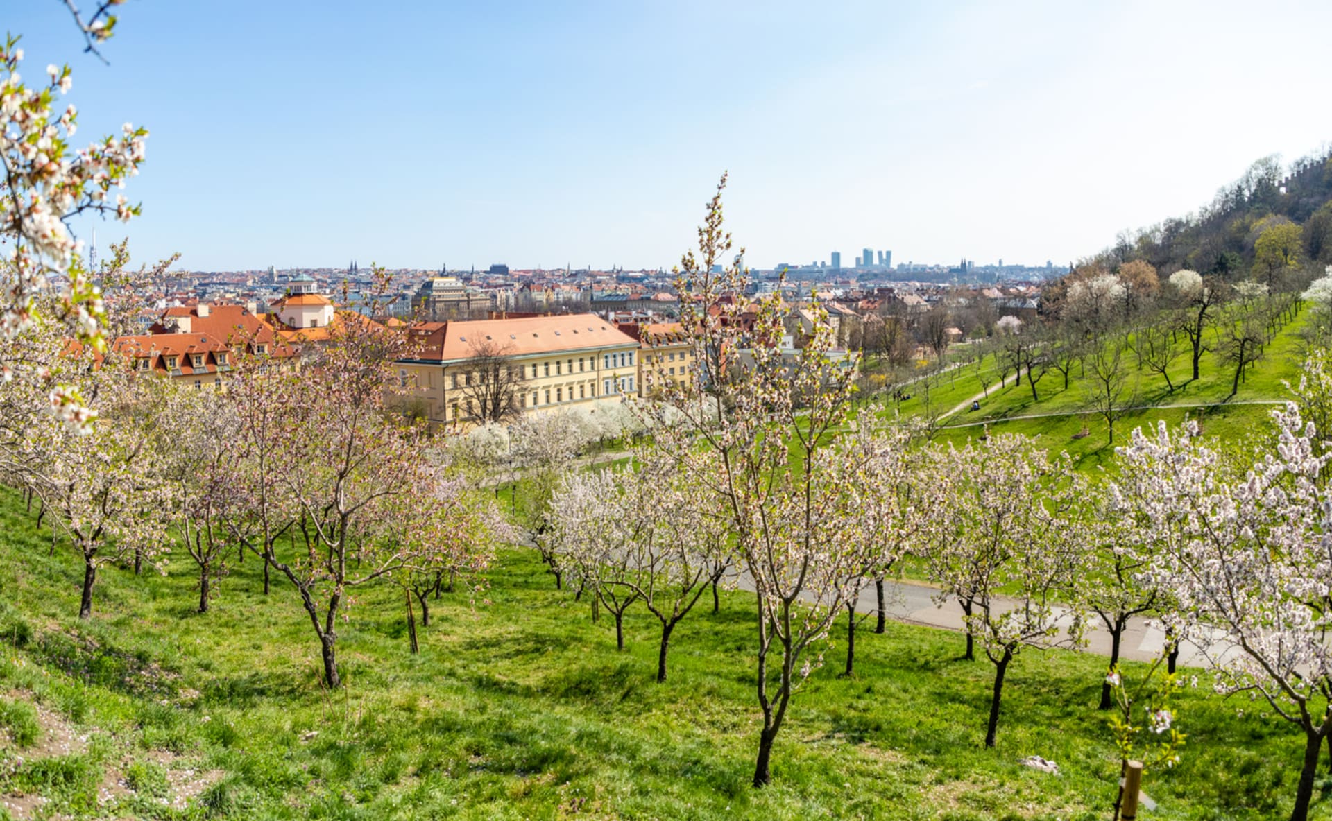 První máj v Praze  na Petříně