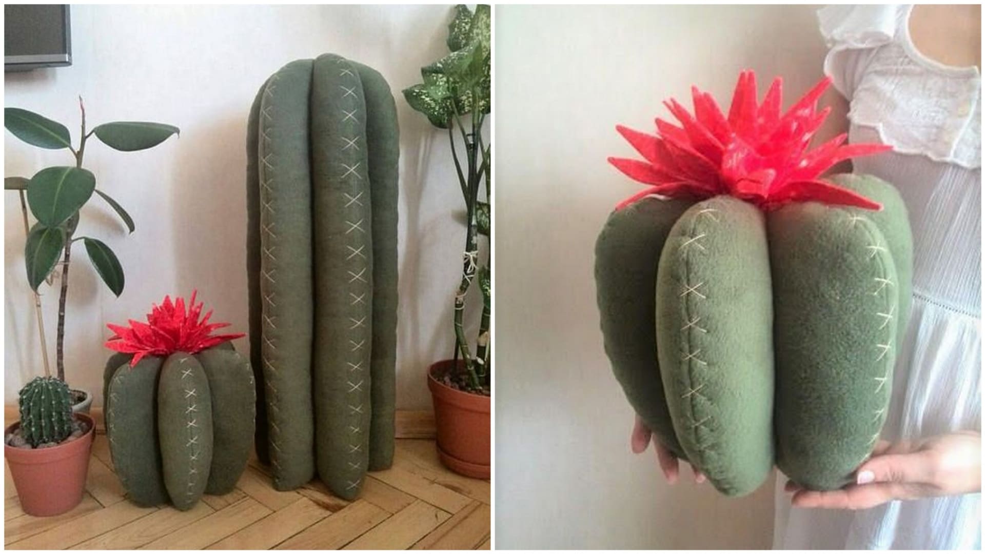 Nechte se inspirovat oblíbenými kaktusy  5
