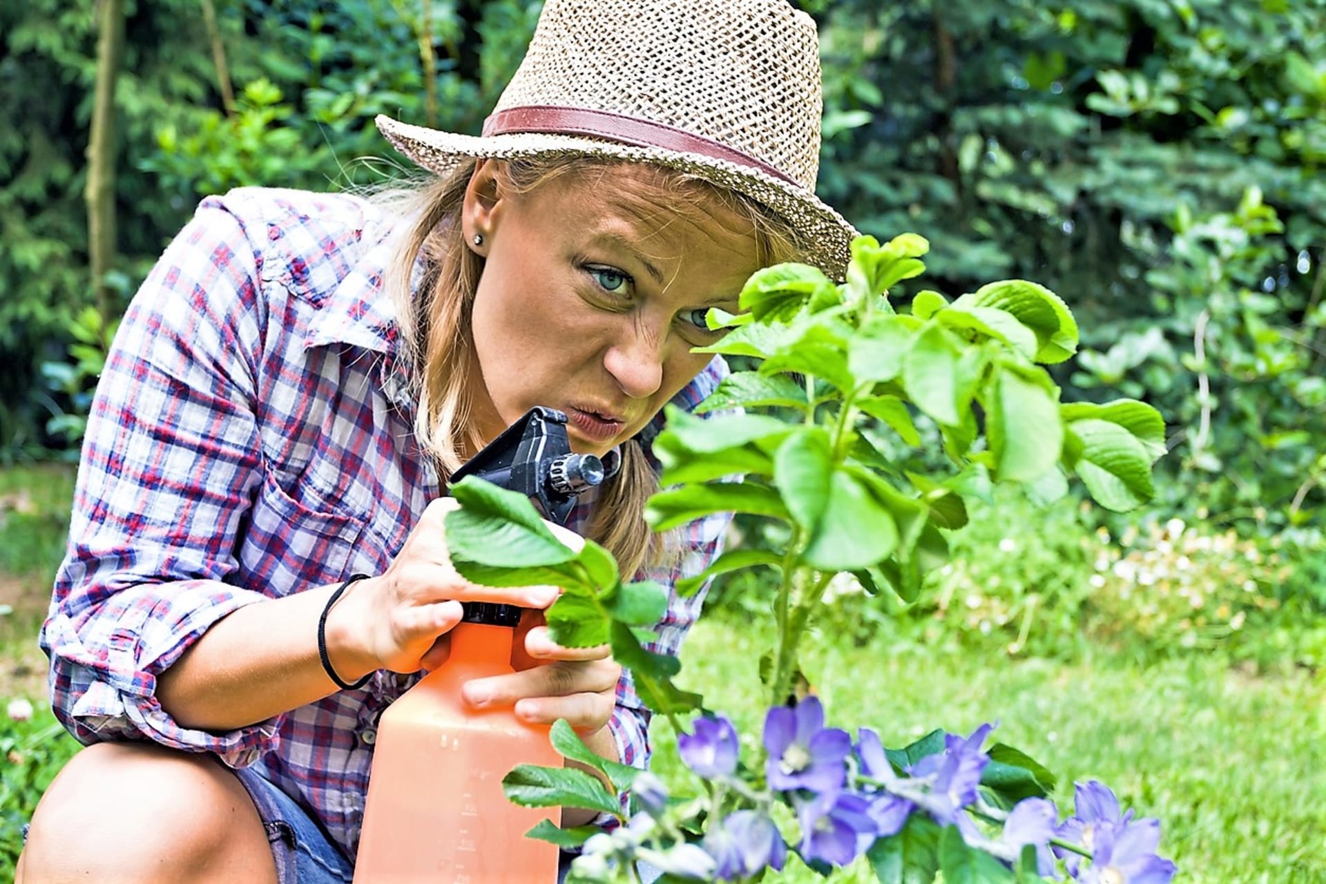 Jak a proč používat v zahradě ocet? Nejúčinnější je domácí jablečný, likviduje mšice, plevel, plíseň i slimáky