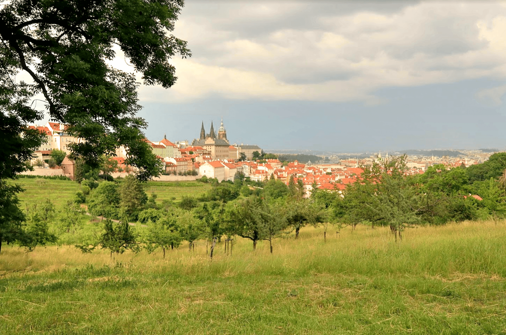 Zahrady Praha 3