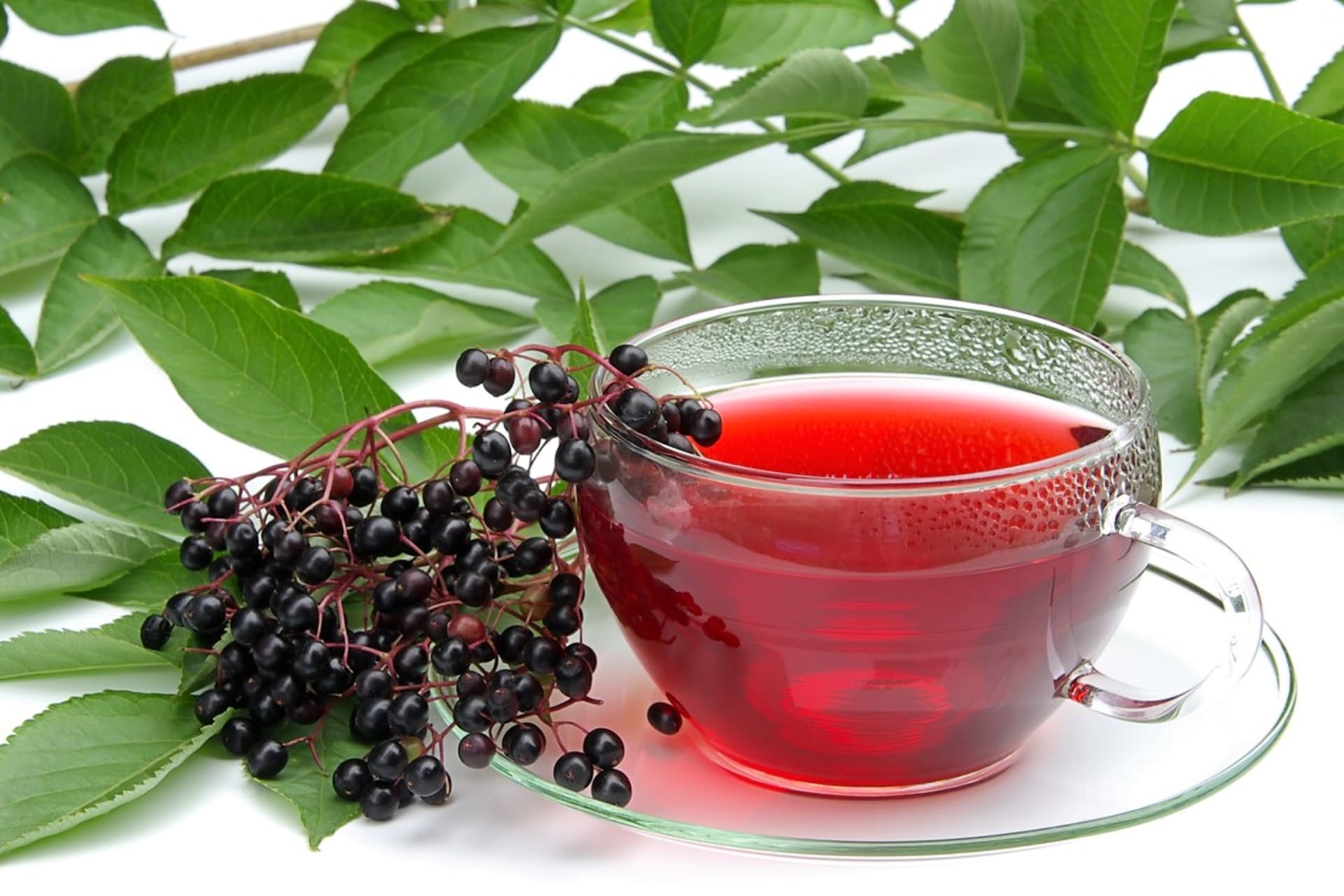 Bezinkový čaj: jako prevenci proti chřipce a nachlazení v sychravých podzimních dnech vypijeme toto množství čaje ráno a večer po jídle.