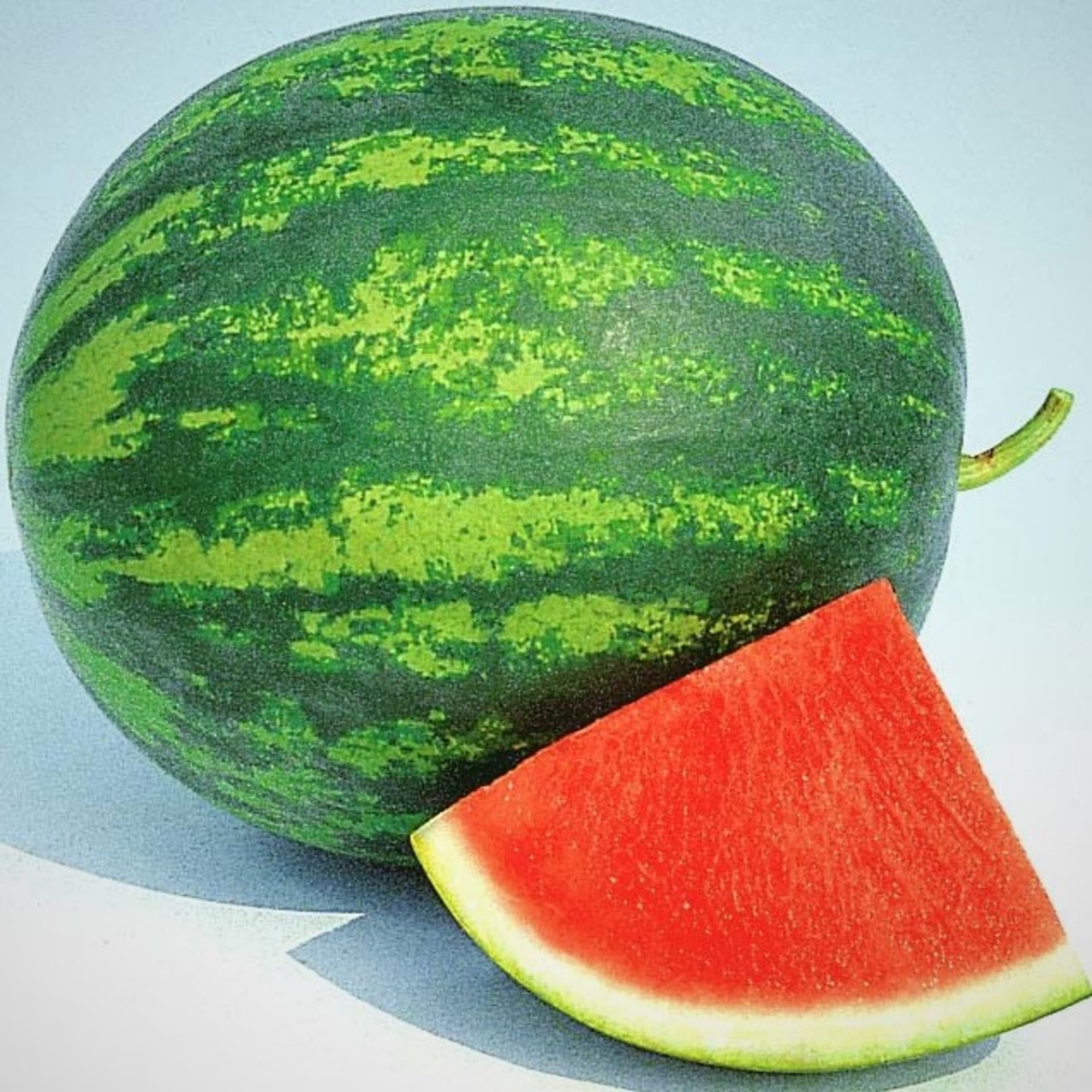 Bezzsemenný vodní meloun Granate F1 je lahodná hybridní odrůda triploidního melounu, který netvoří semena.