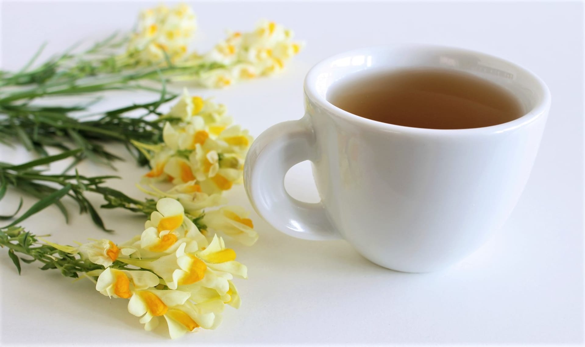 Čaj pijeme teplý až vlažný dvakrát denně po jídle nebo toto množství vypijeme během dne po doušcích.