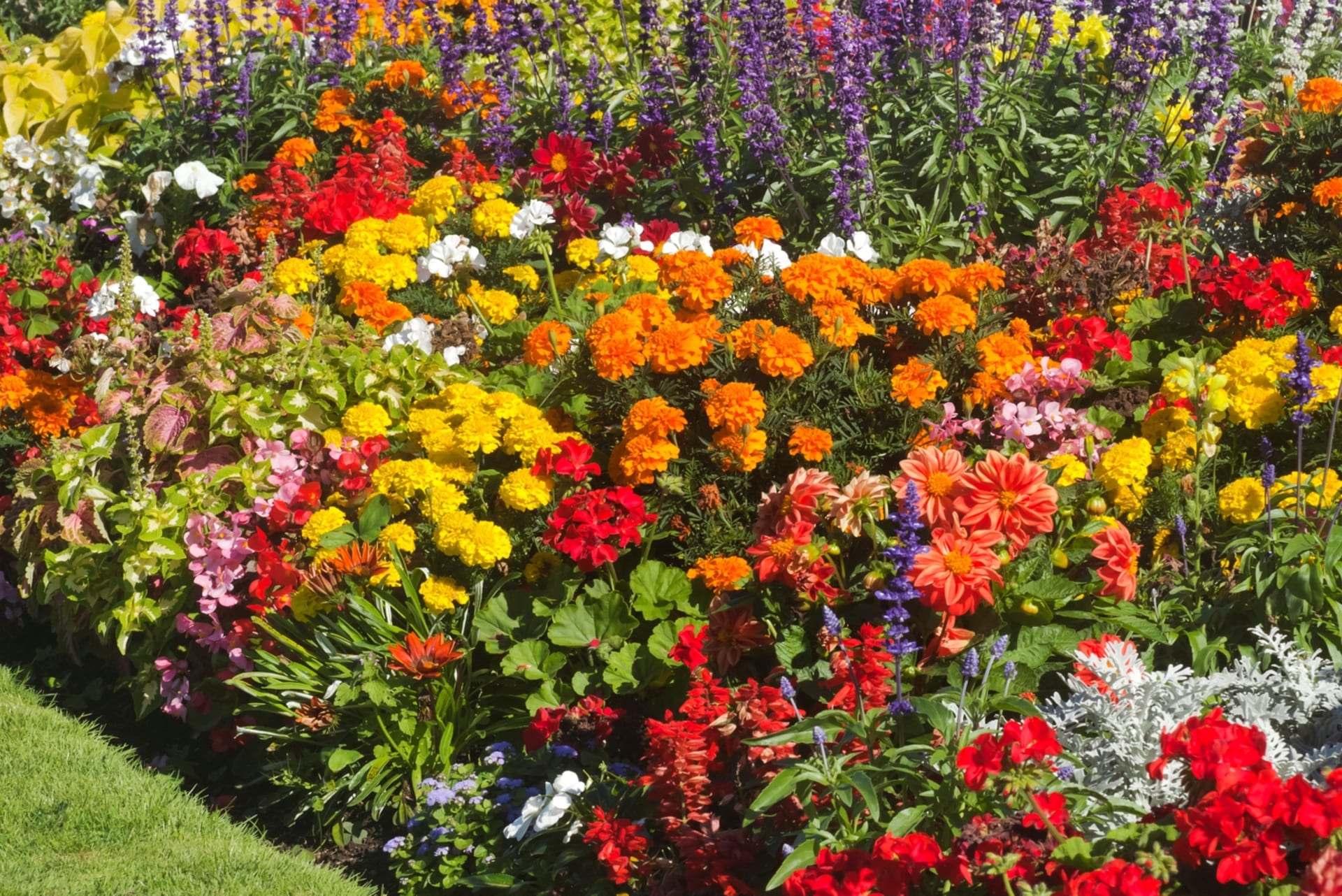 Nechte zahradu vykvést v barvách, které vás správně naladí a zharmonizují 