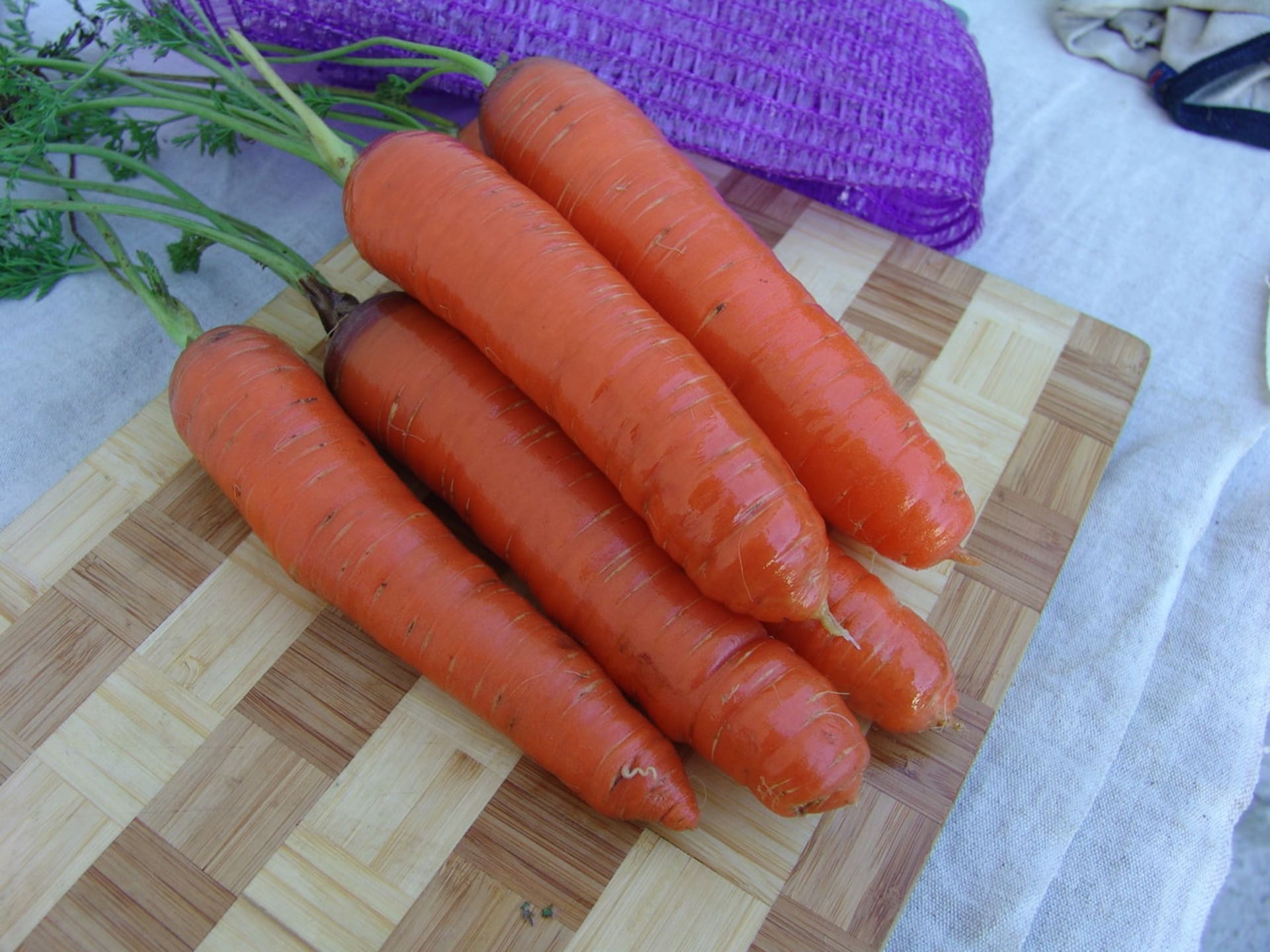 Kořenová zelenina - Obrázek 6 - Odrůda mrkve Cortina
