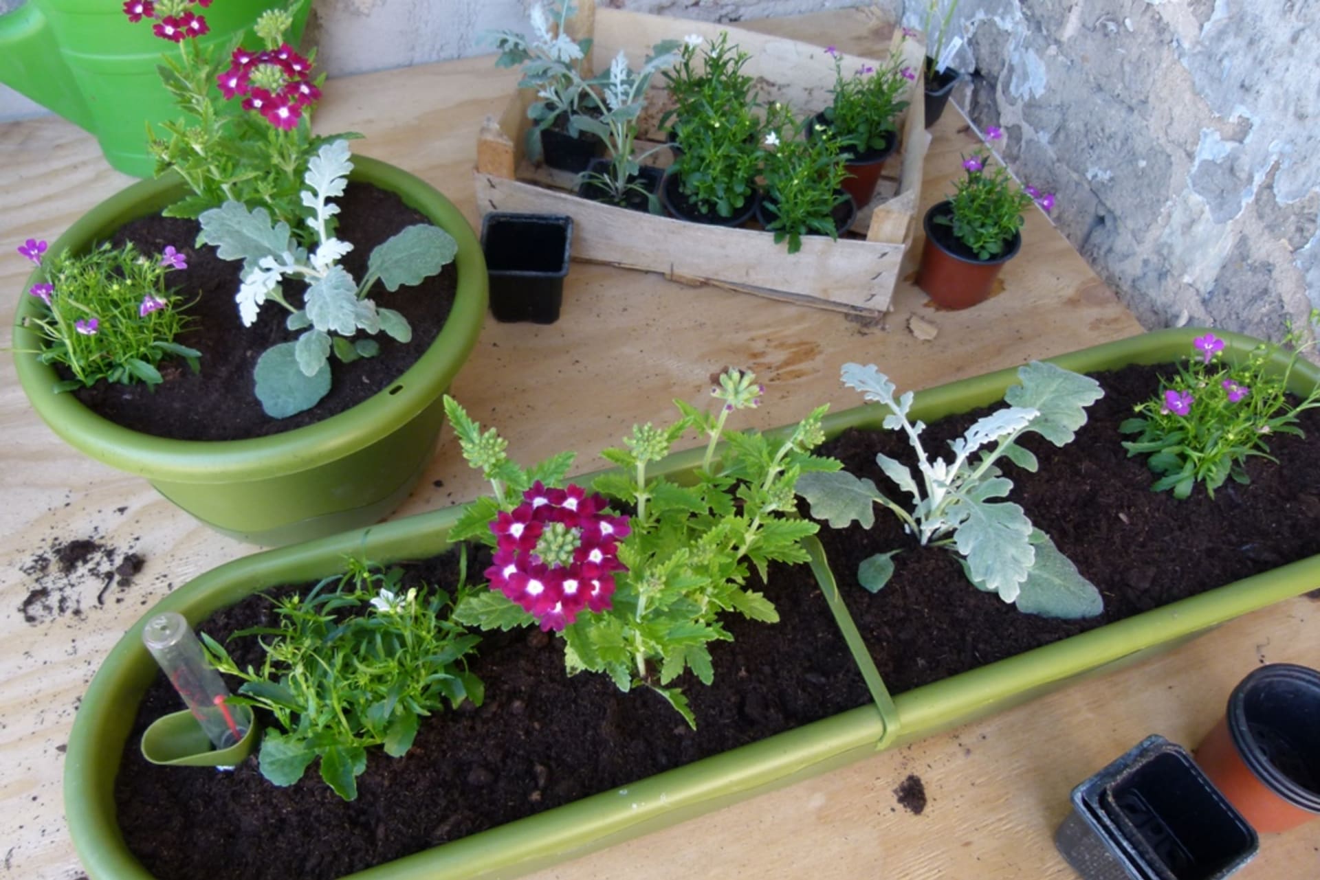Samozavlažovací truhlíky: Jak pěstovat květiny a zeleninu na balkoně i bez každodenního zalévání 3