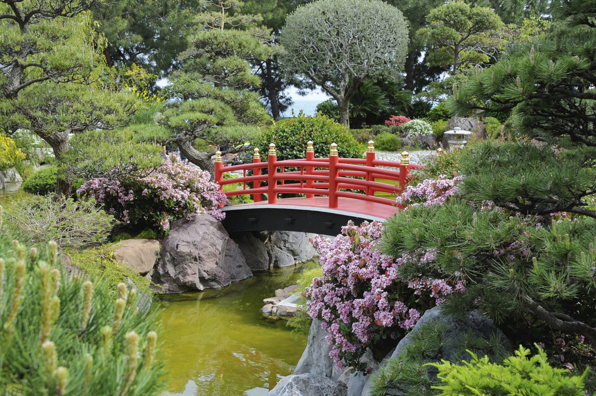 Japonská zahrada - mostek