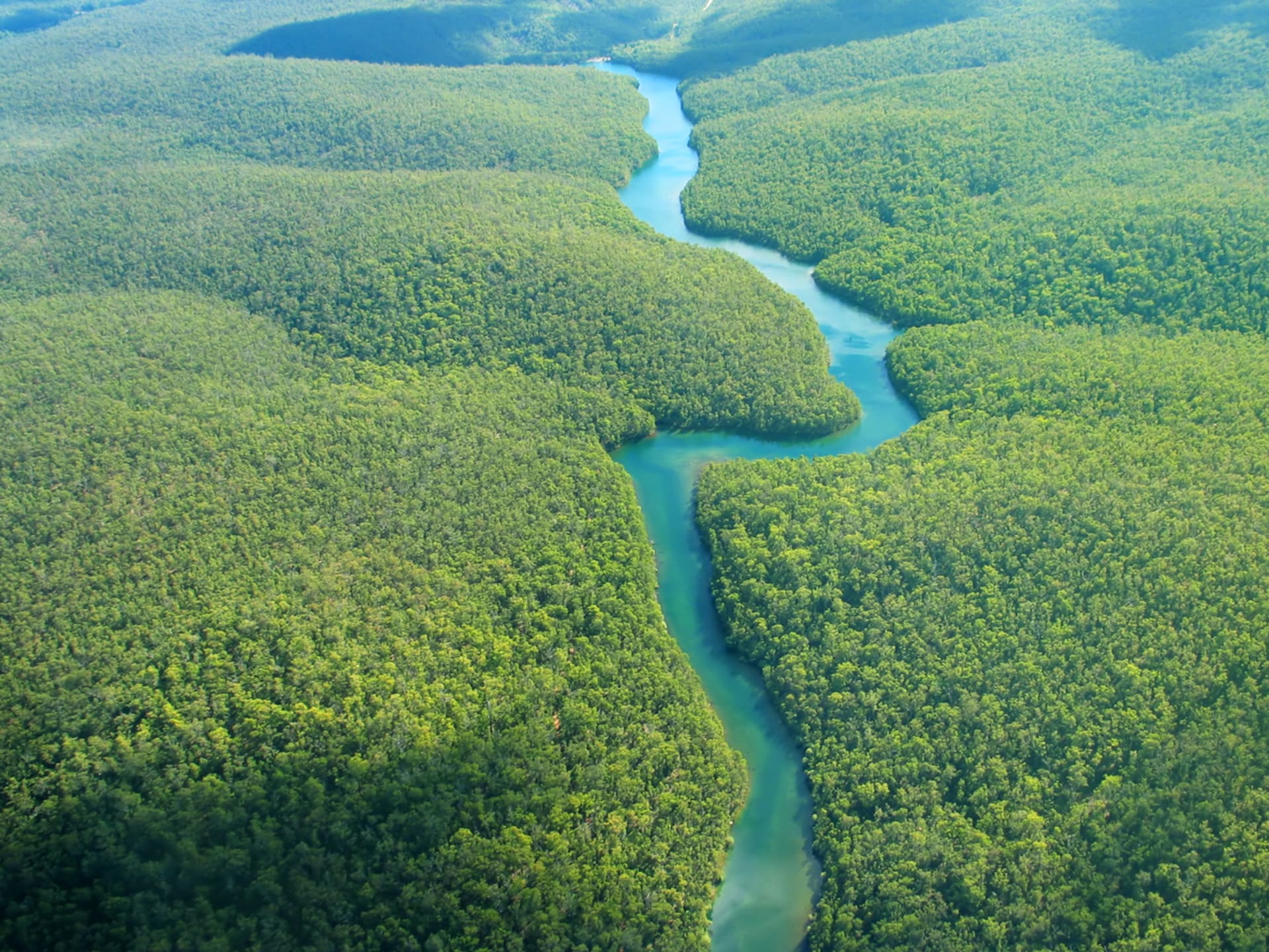 Amazonský prales v celé své kráse.
