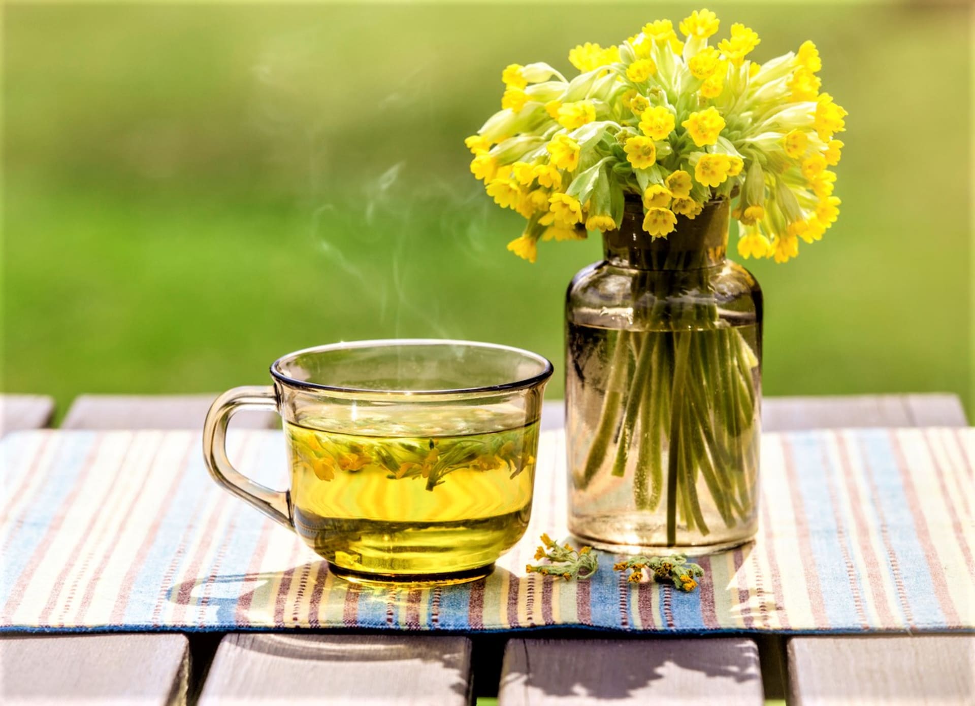 Prvosenka jarní lidově petrklíč: Ve středověku se z květů vyrábělo víno a medovina, čaj se podával při bolestech hlavy a nespavosti. Dokonce se věřilo, že dokáže vyléčit obrnu.