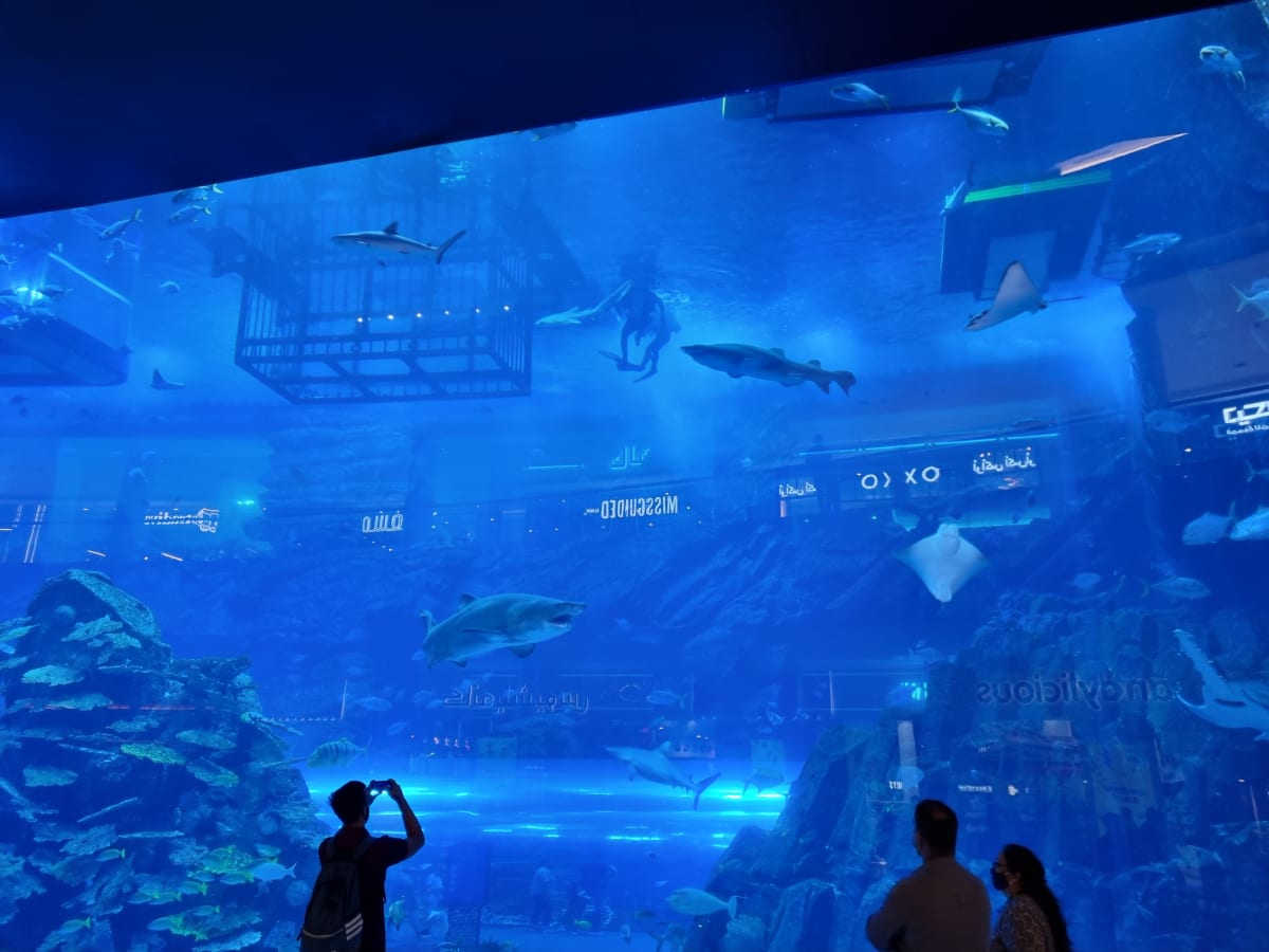V Dubai Mall je i akvárium se žraloky.