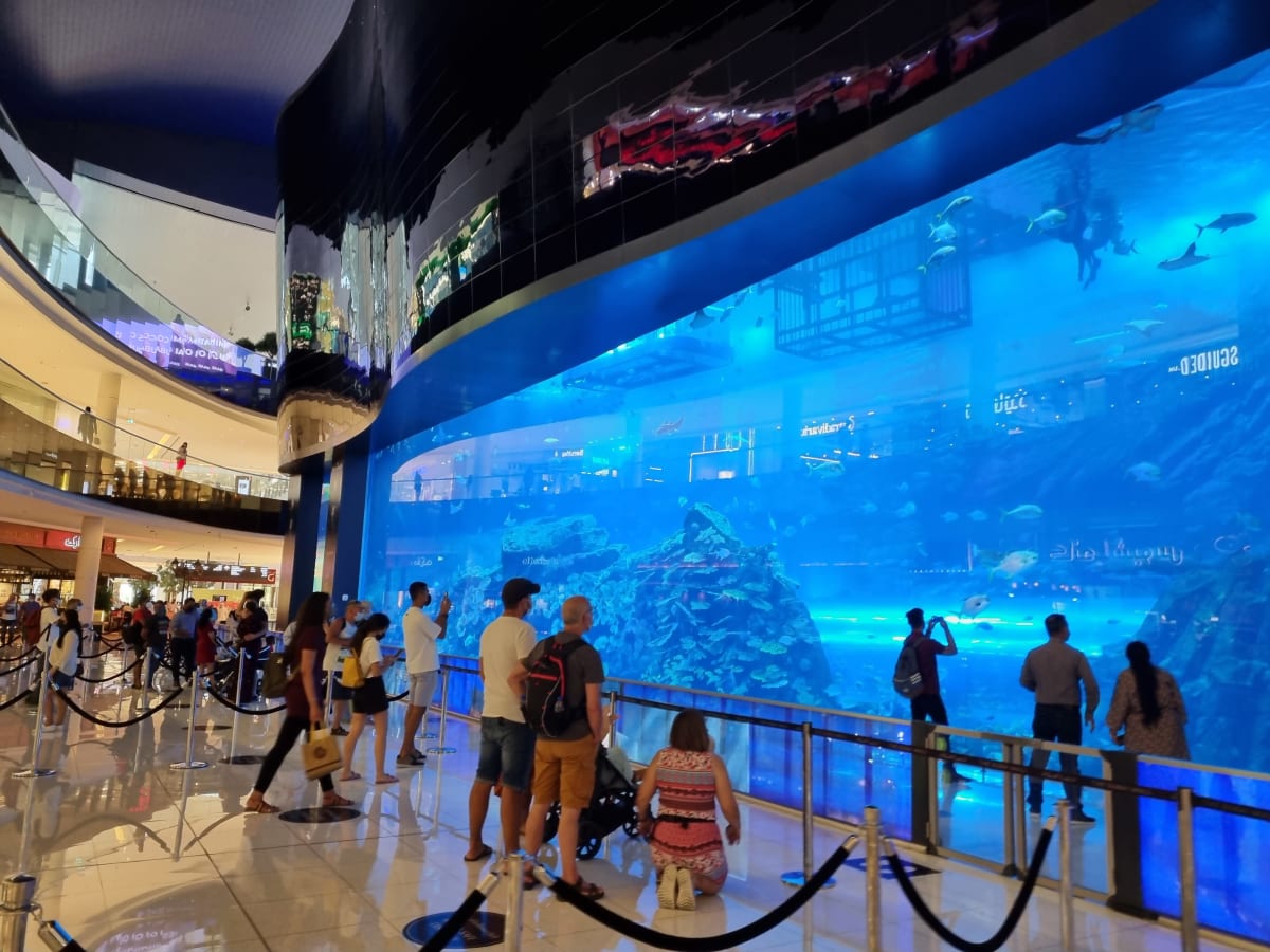 V akváriu se žraloky v Dubai Mall se mohou lidé i potápět.