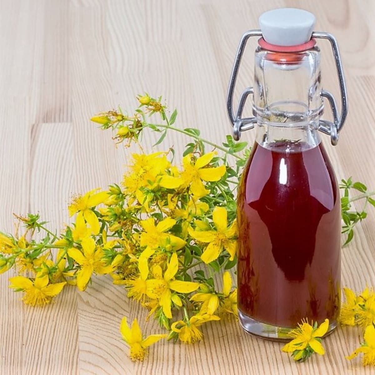 Třezalkový Janův olej z čerstvých květů je červený, když použijeme květy sušené, bude žlutý