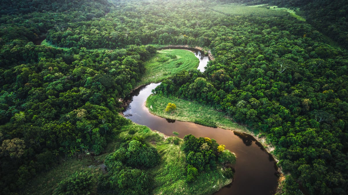 Amazonský prales 