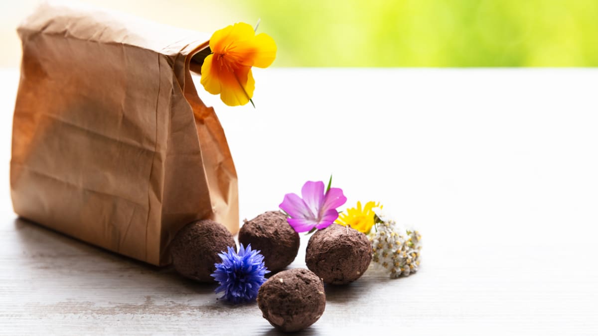 Semínkové bomby můžete využít i jako dárek pro další milovníky květin