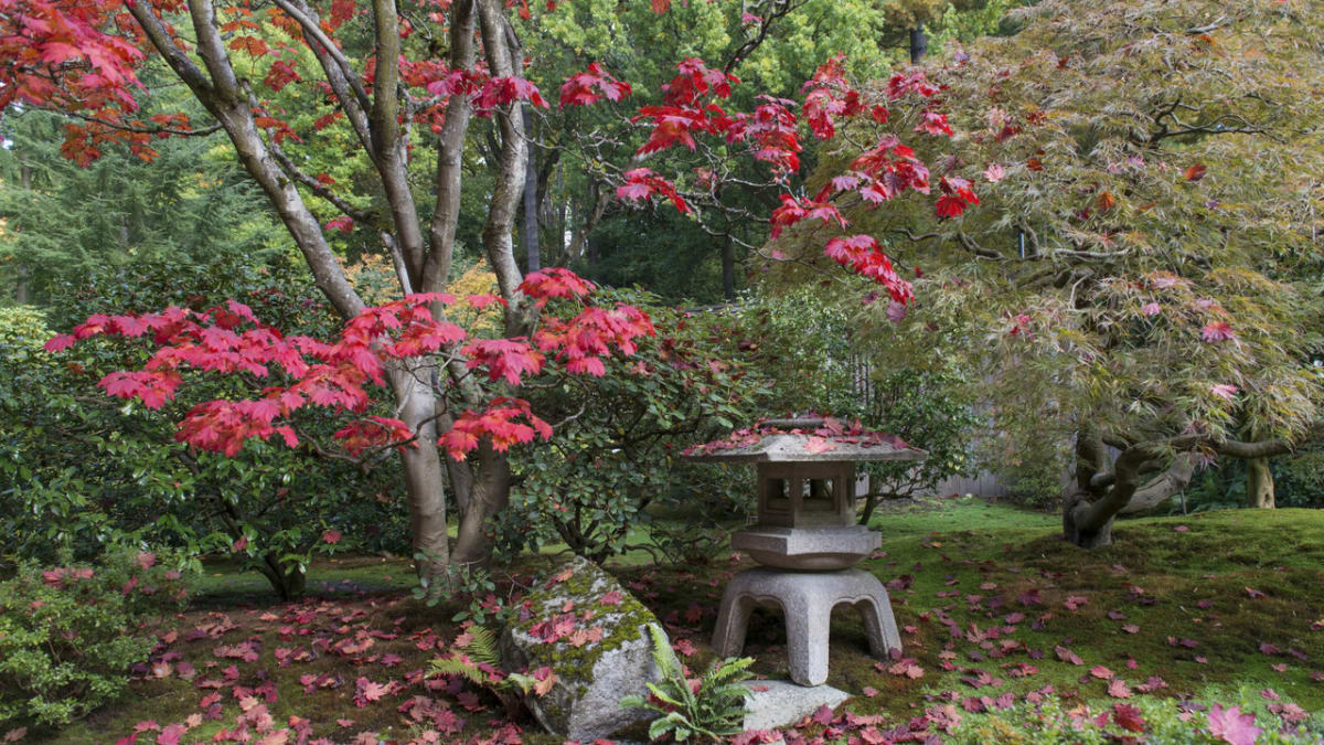 Japonské zahrady - Obrázek 2