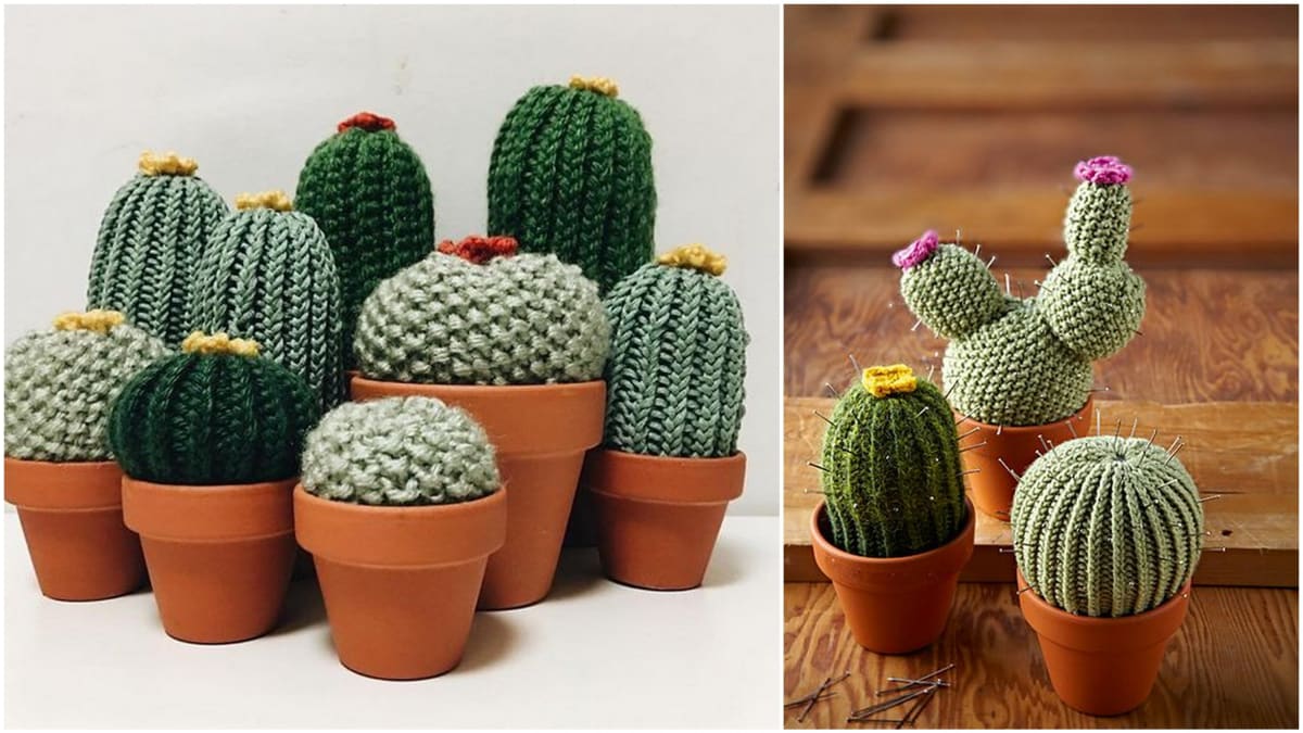 Nechte se inspirovat oblíbenými kaktusy  1