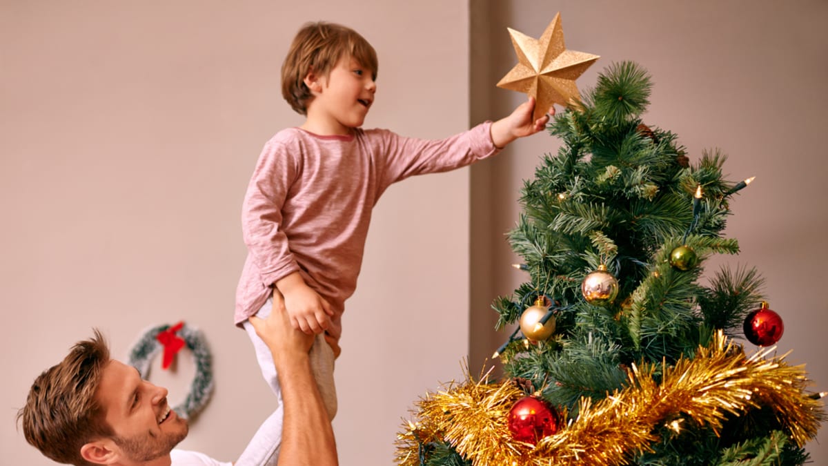 Jak vybrat a správně pečovat o vánoční stromek?