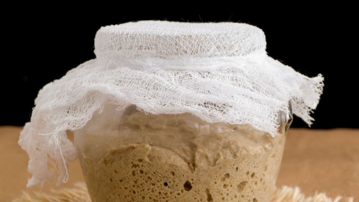Na kyselo je nutný chlebový kvásek, který mívali v každé chalupě svůj vlastní a starali se o něj jako o oko v hlavě, protože byl nezbytný pro pečení chleba