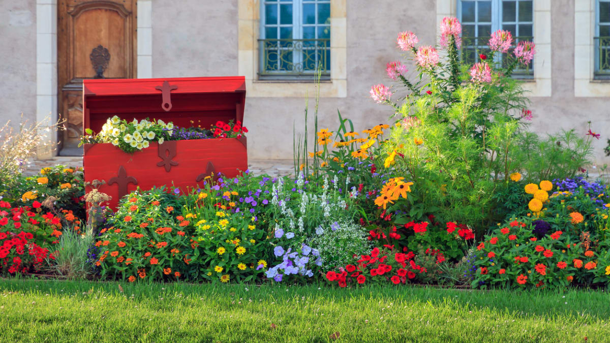 Malá zahrada a malý rozpočet? Zkuste 8 laciných triků, které udělají zahradu  krásnější | Prima Living