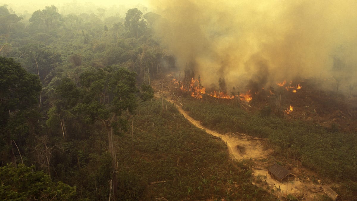 Požár v Amazonském pralese.