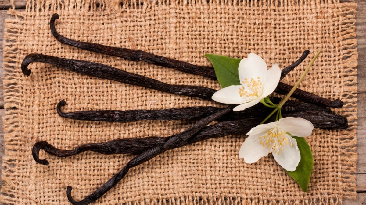 Vanilka je fermentovaná tobolka (nesprávně se říká vanilkový lusk) některých druhů orchidejí rodu vanilovník.