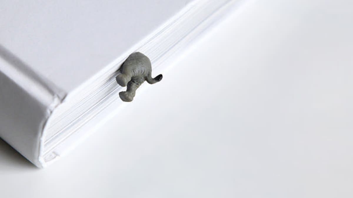 Sloni jako dekorace - Obrázek 1