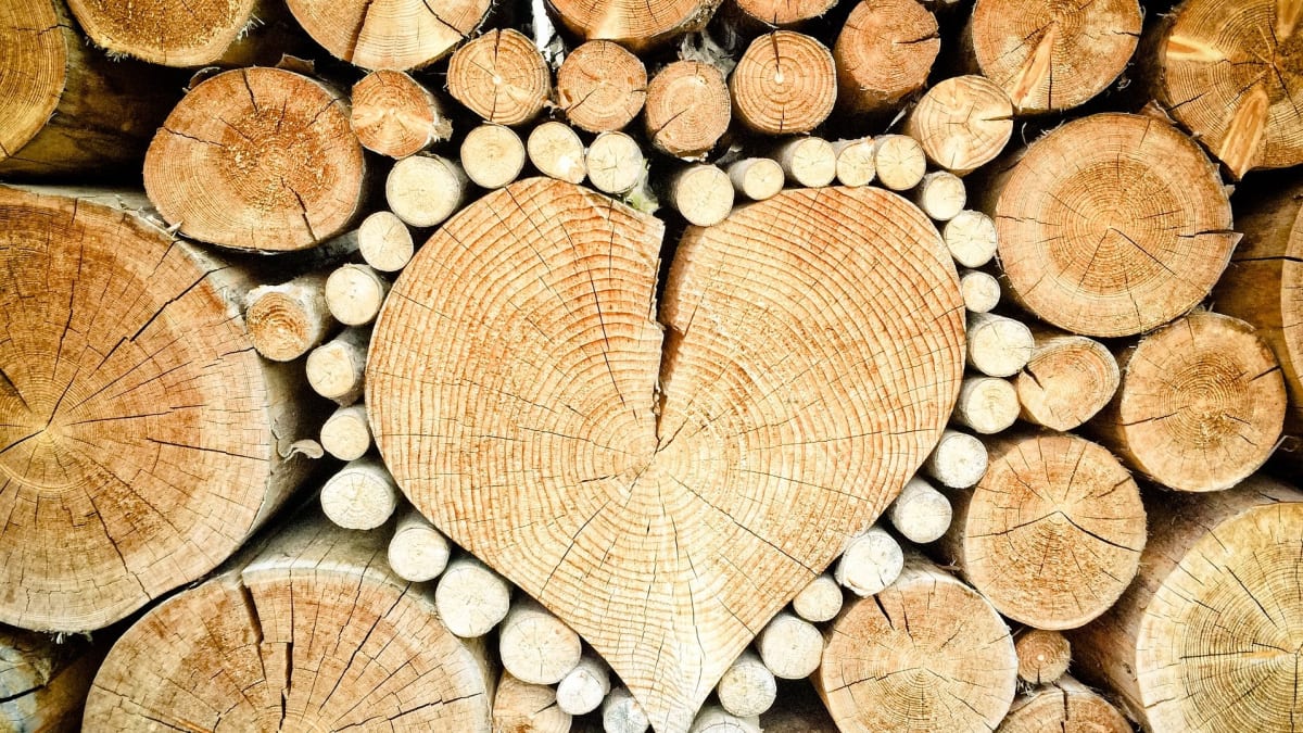 7 nápadů, jak dřevo na topení uskladnit prakticky i pohledně  1