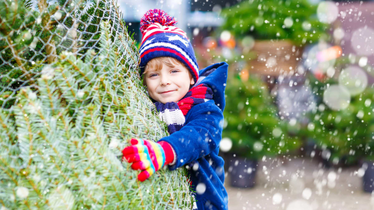 Vánoce máme často spojené se svým vlastním dětstvím. Propadnout vzpomínkám až přespříliš však může být ošidné.