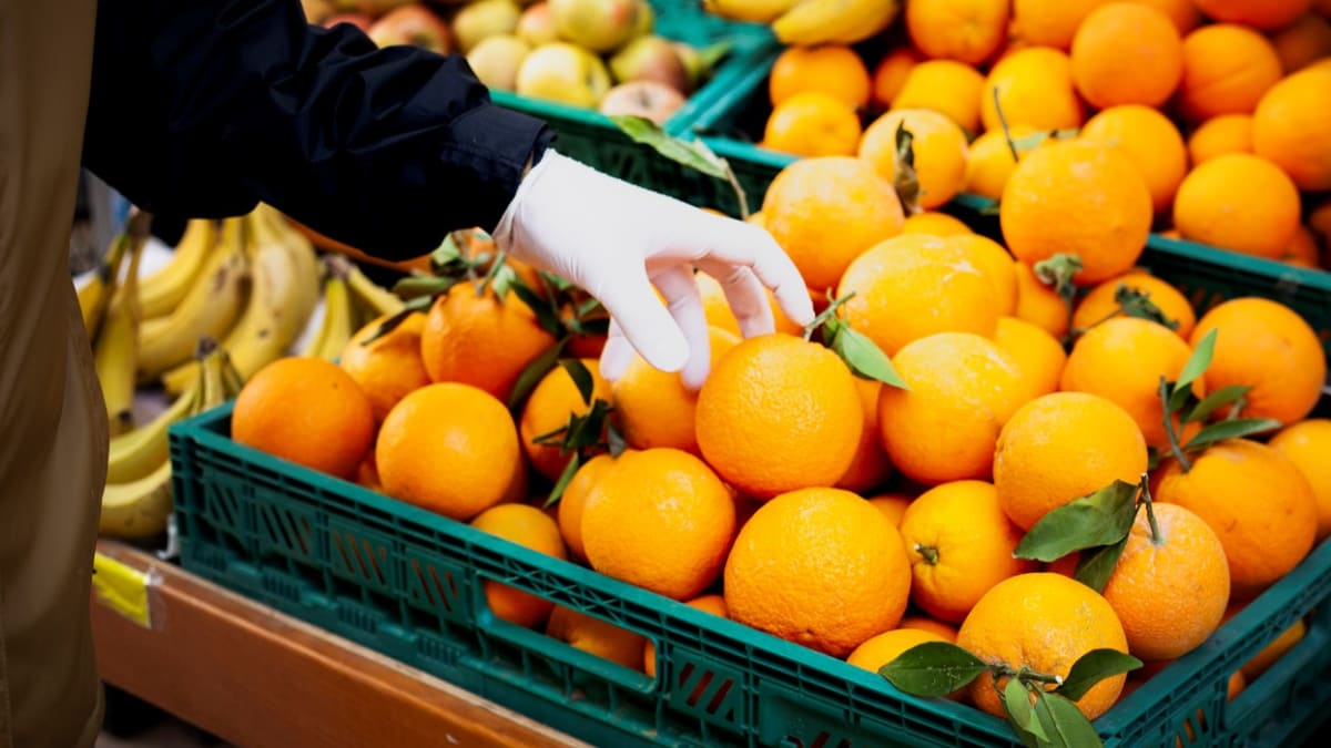 Kvalitní plody mají lesklou čistou kůru. Spolehlivou zkouškou je, když si k nim přičichneme, vydávají-li silné pomerančové aroma, jsou v pořádku.