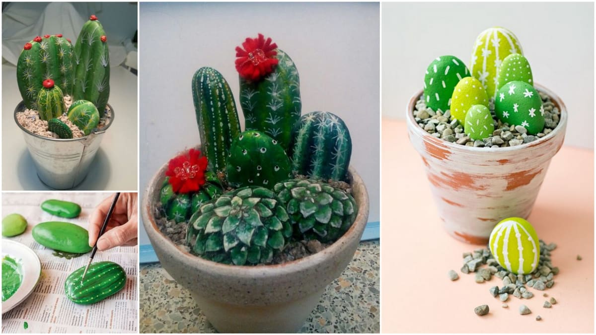 Nechte se inspirovat oblíbenými kaktusy  4