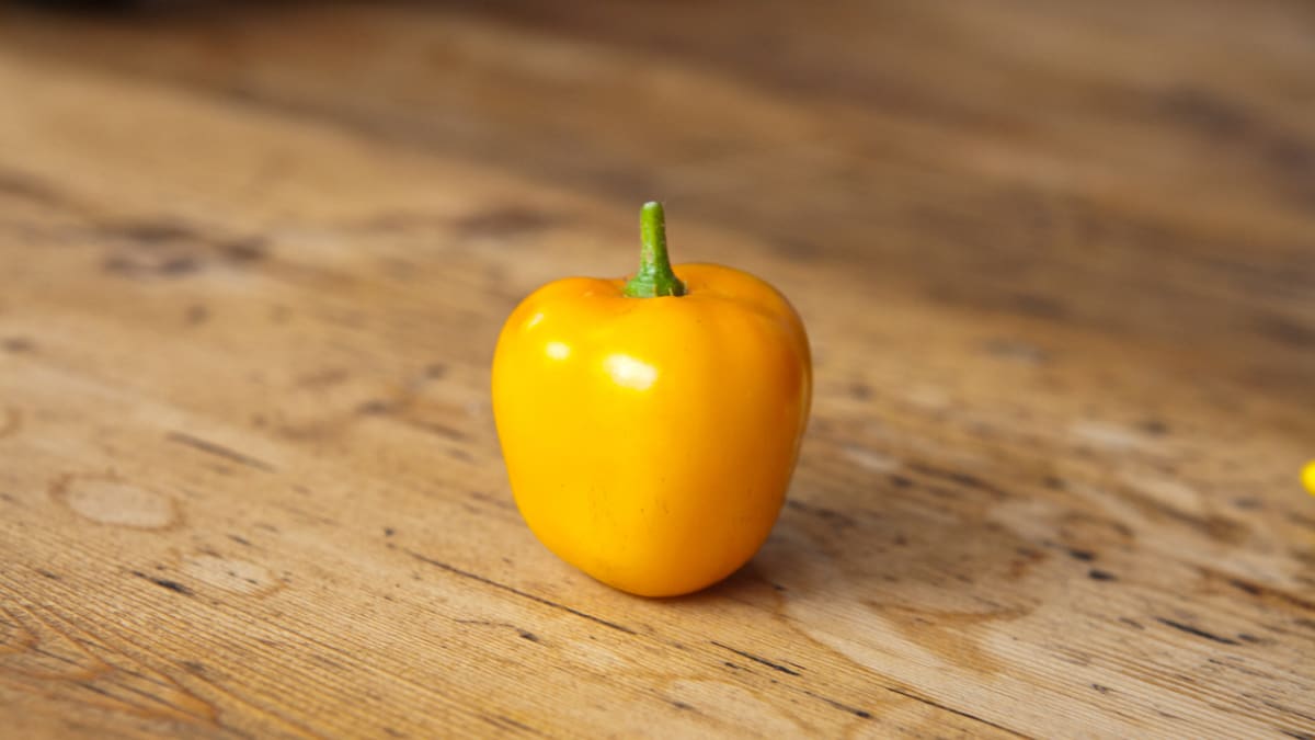 Jak pěstovat chilli papričky 6