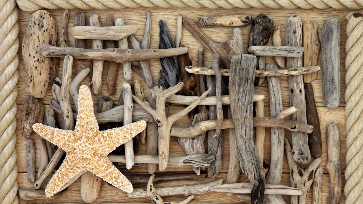 Vyplavené dřevo z moře: Dekorace, které vám budou připomínat dovolenou 1